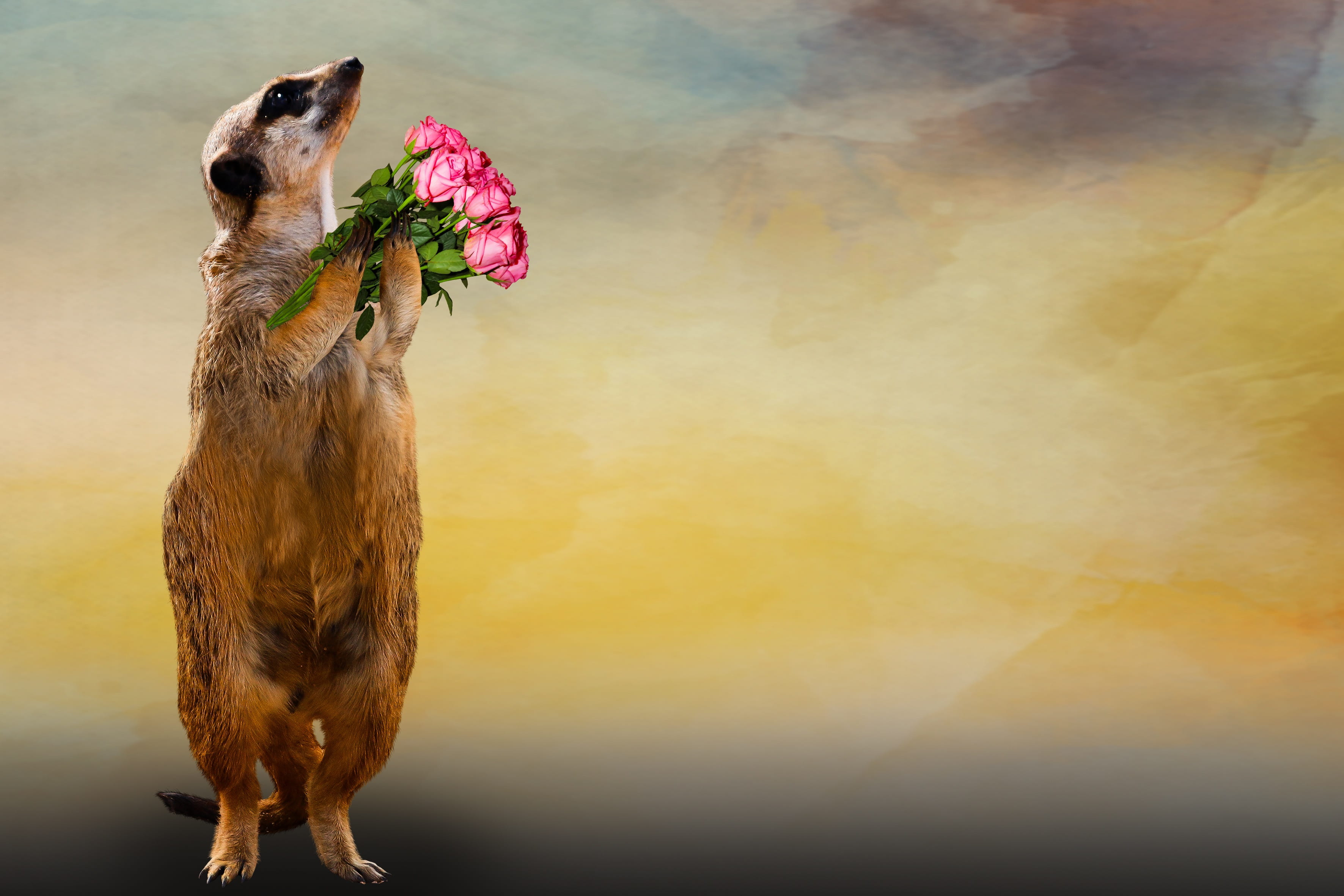 domestic animals, animal themes, thank you, digital composite, animal, greeting card, 2K, vertebrate, animal head, nature, day, give, plant, birthday, HD Wallpaper