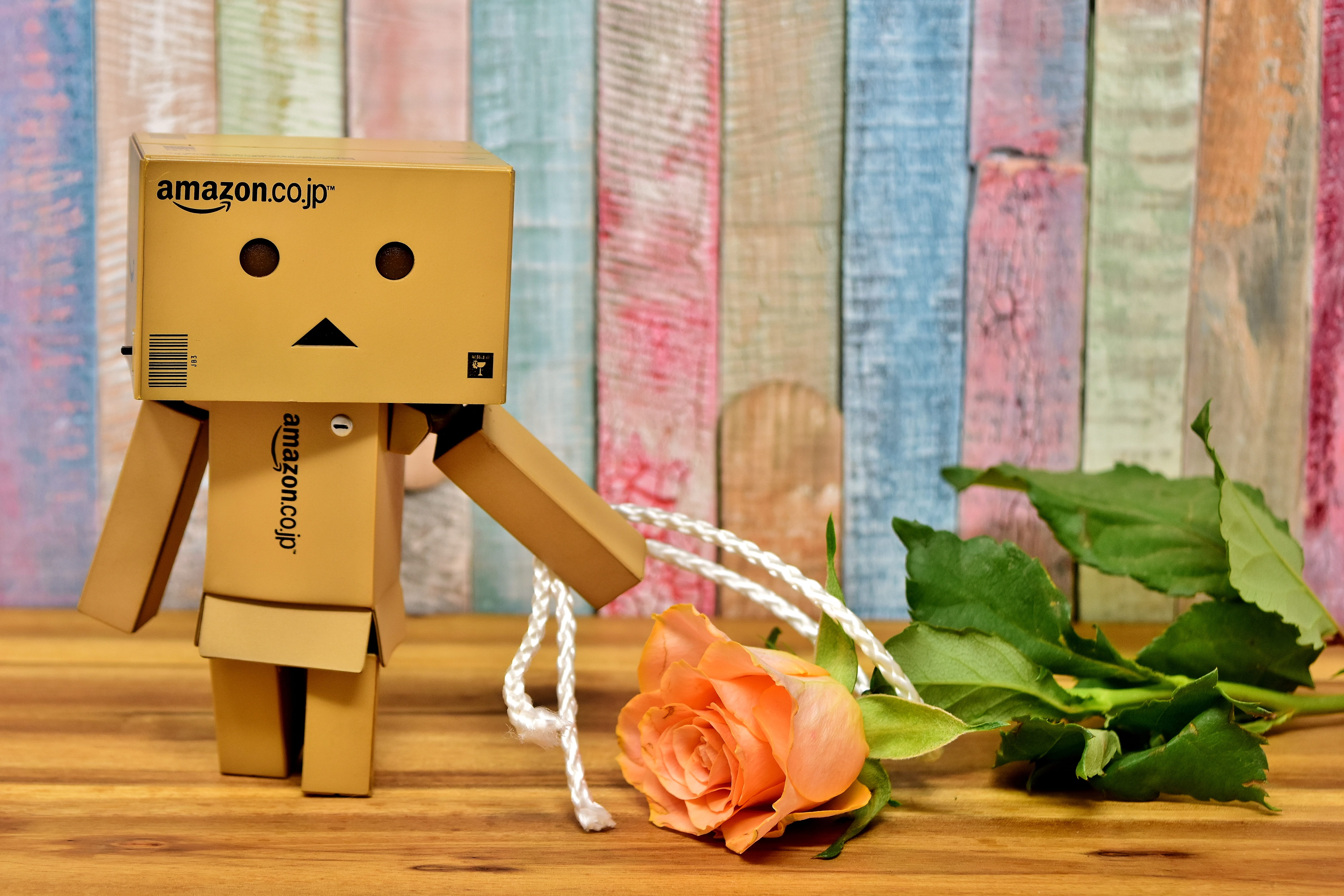flowering plant, indoors, im sorry, plant, human representation, danbo, still life, love, flowers, awarded, forgiveness, excuse me, forgive, valentines day, HD Wallpaper