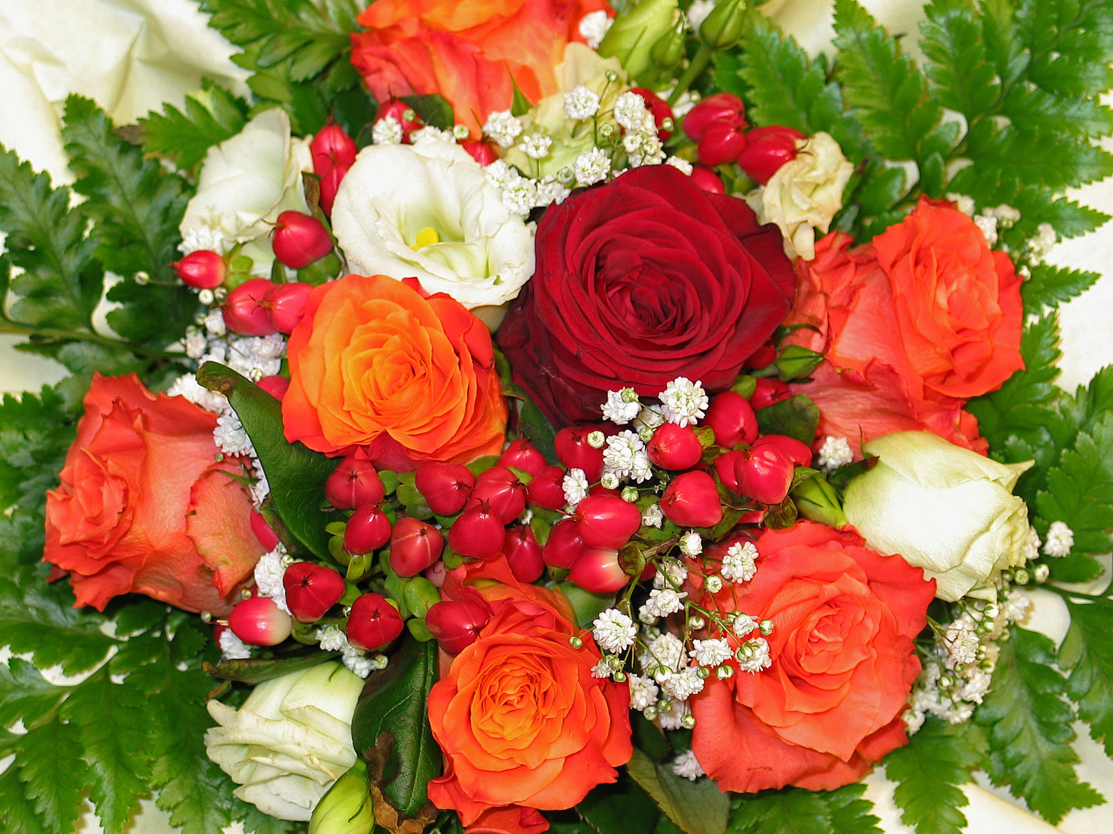 greeting card, valentines day - holiday, rose - Flower, excuse me, multi colored, red, florist, color, floral greeting, celebration, nature, background, HD Wallpaper
