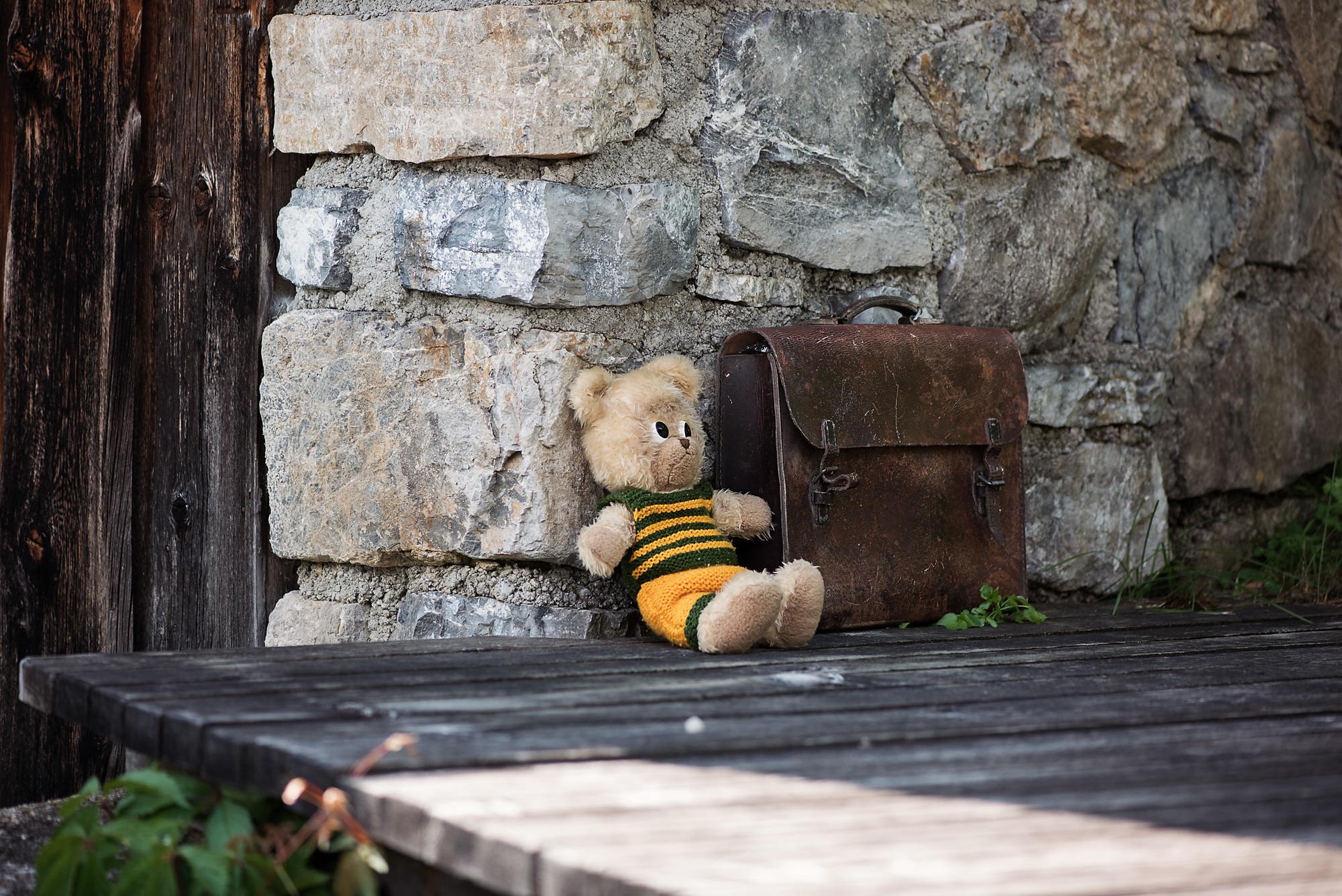 book, publication, wood - material, mammal, old, bag, animal representation, relaxation, schoolbag, animal, soft toy, stone wall, stuffed toy, architecture, HD Wallpaper