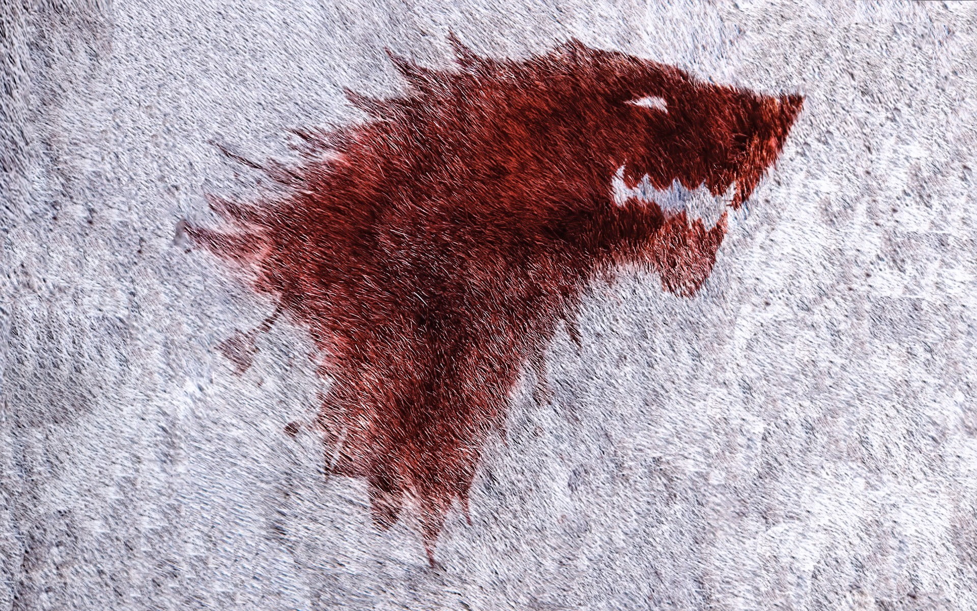 art and craft, surprise, House Stark, illustration, human blood, textured, Game of Thrones, drop, indoors, dirt, violence, fear, 1080P, close-up, animal, HD Wallpaper