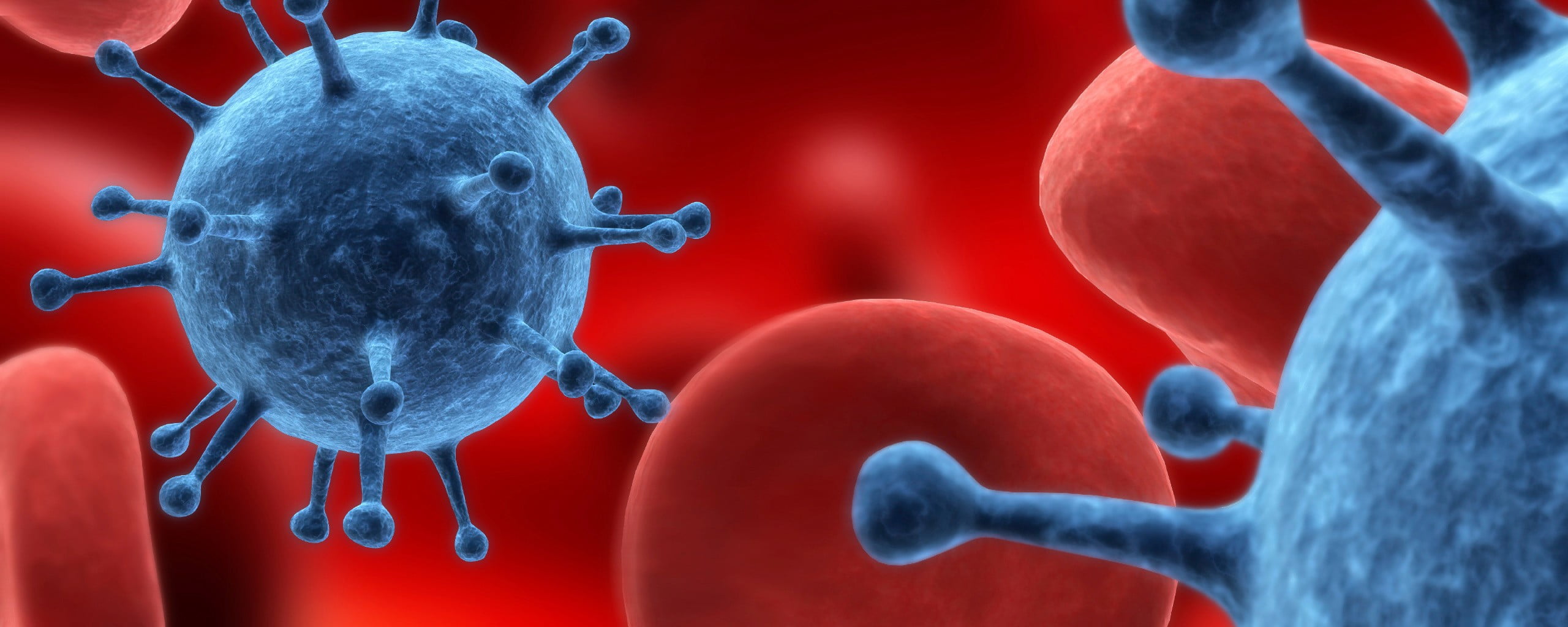 digital art, human body part, people, studio shot, technology, cells, red, close-up, three dimensional, water, science, blue, motion, biology, blood, macro, HD Wallpaper