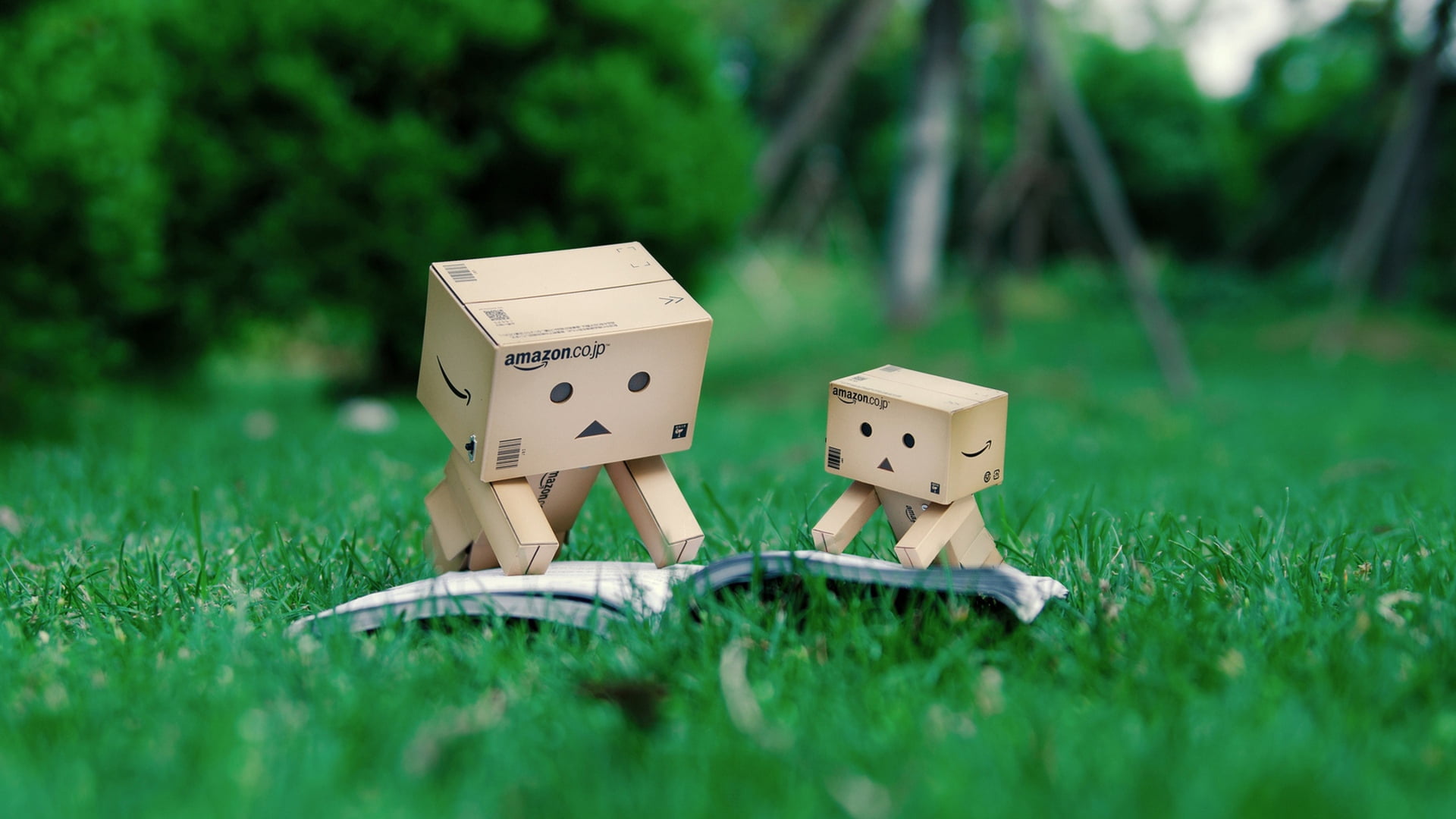 land, toy, green Color, arts culture and entertainment, selective focus, cardboard, close-up, plant, day, box, representation, brown, white, small, carton, HD Wallpaper