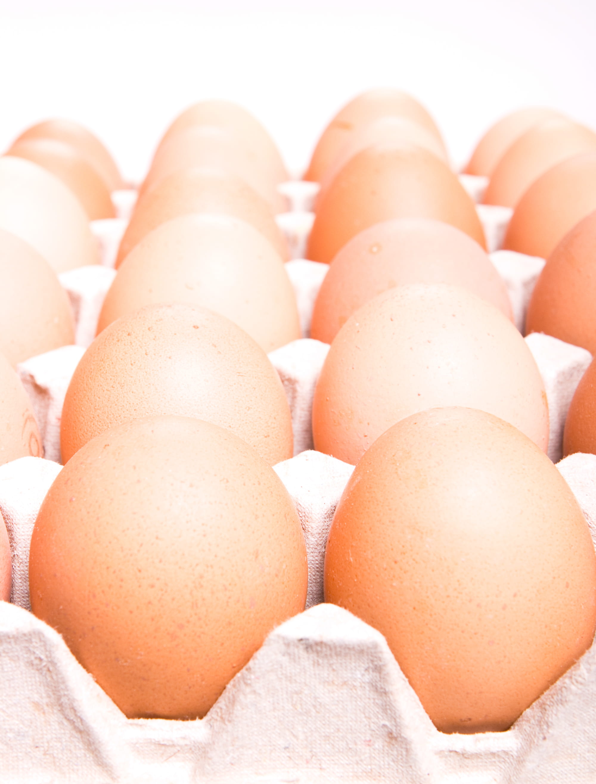 above, vulnerability, healthy, fragility, view, order, abundance, brown, uncooked, close-up, raw, wellbeing, fresh, food, indoors, chicken, large group of objects, Phone HD Wallpaper