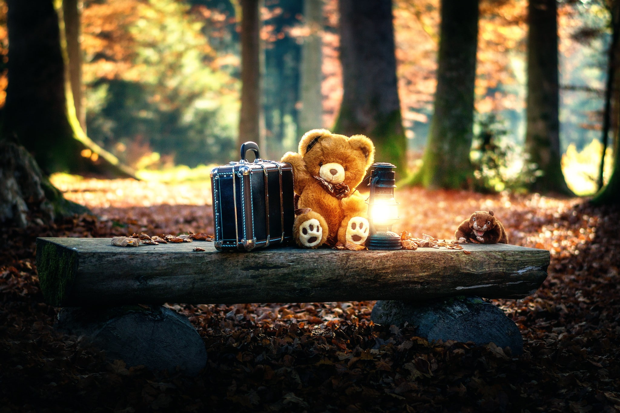 teddy bears, toys, trees, 1080P, HD Wallpaper