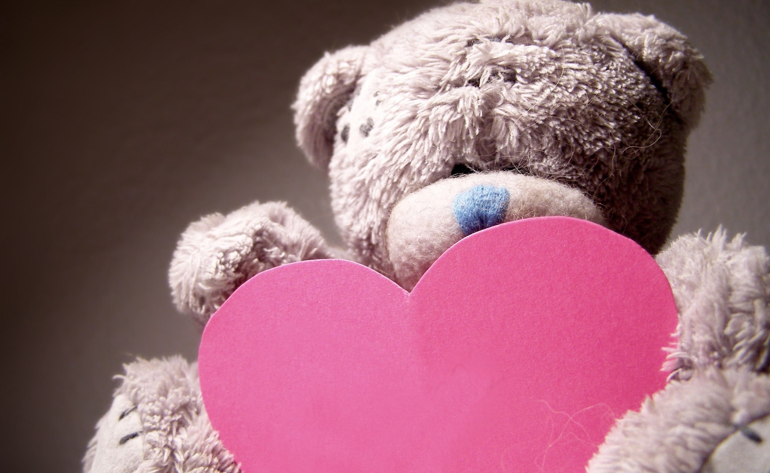 emotion, Heart, heart shape, valentines day, people, creativity, embracing, Background, studio shot, softness, toy, valentines, Love, Valentines Day, close-up, HD Wallpaper