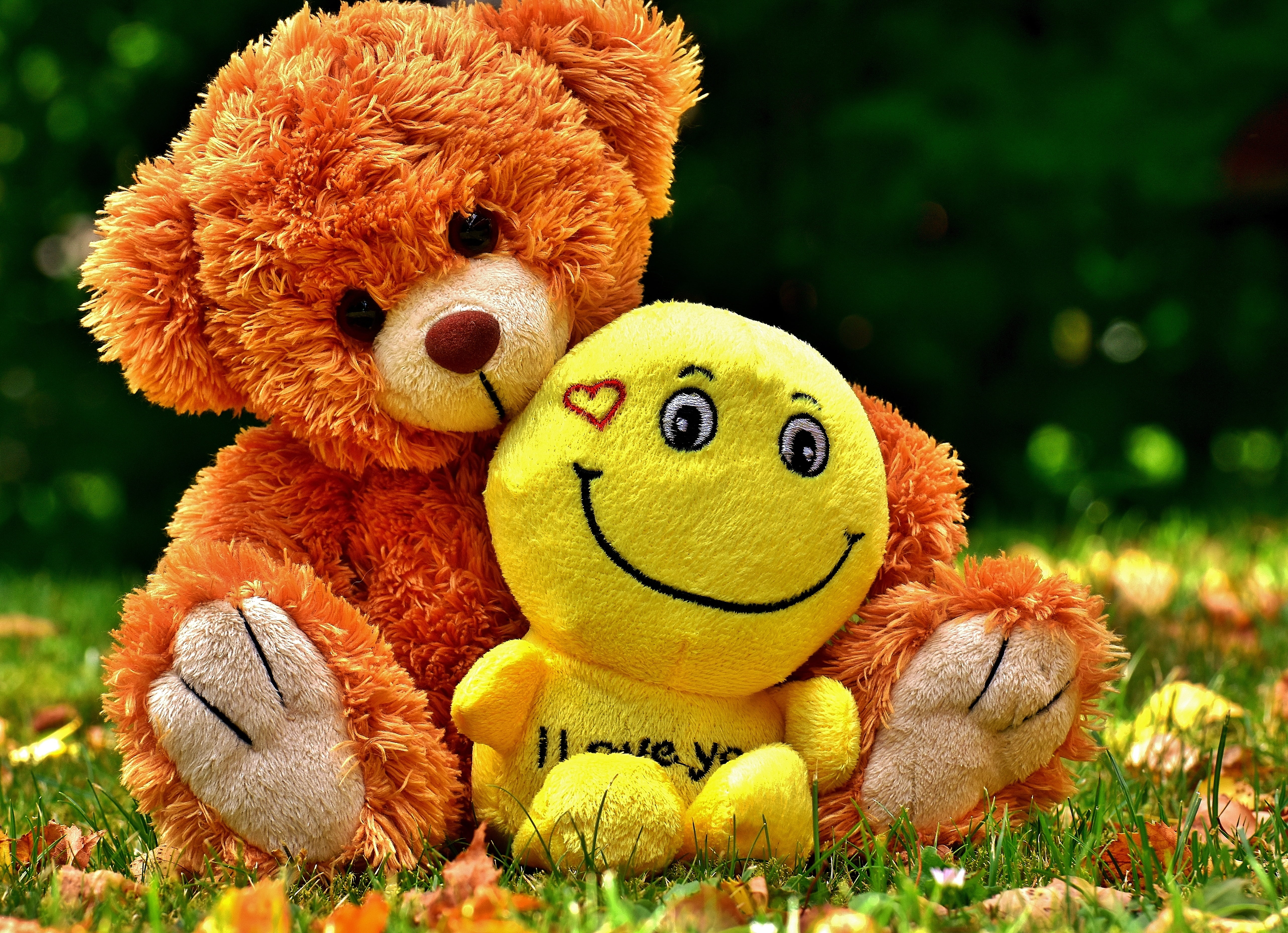 animal themes, smiley, mammal, fabric, representation, stuffed toy, teddy, bears, 5K, field, no people, nature, stuffed animal, bear, animal, two, love, HD Wallpaper