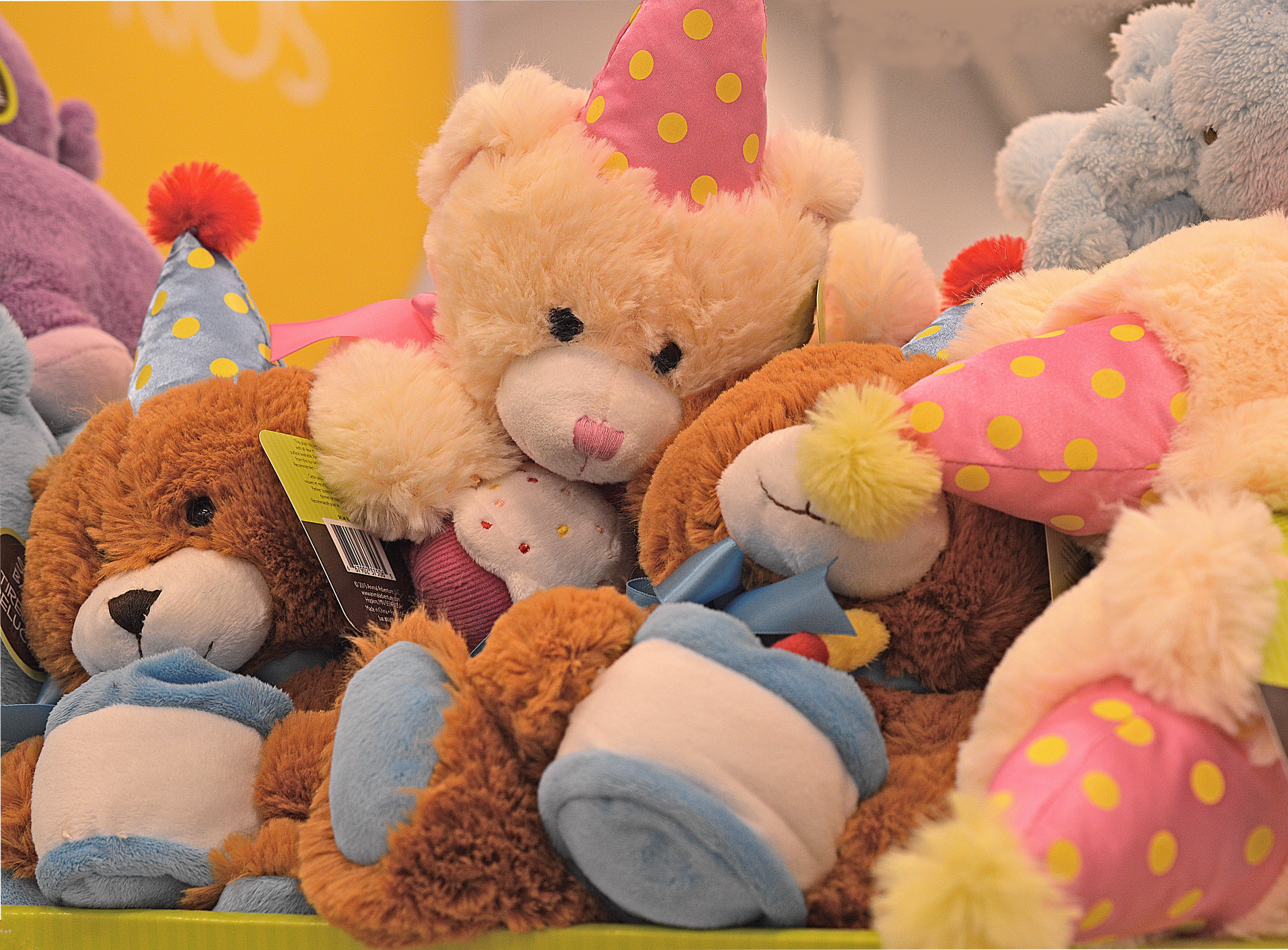 group of objects, choice, cuddly, fluffy, selective focus, variation, assorted, art and craft, close-up, teddy bear, stuffed toy, 4K, representation, plush, HD Wallpaper