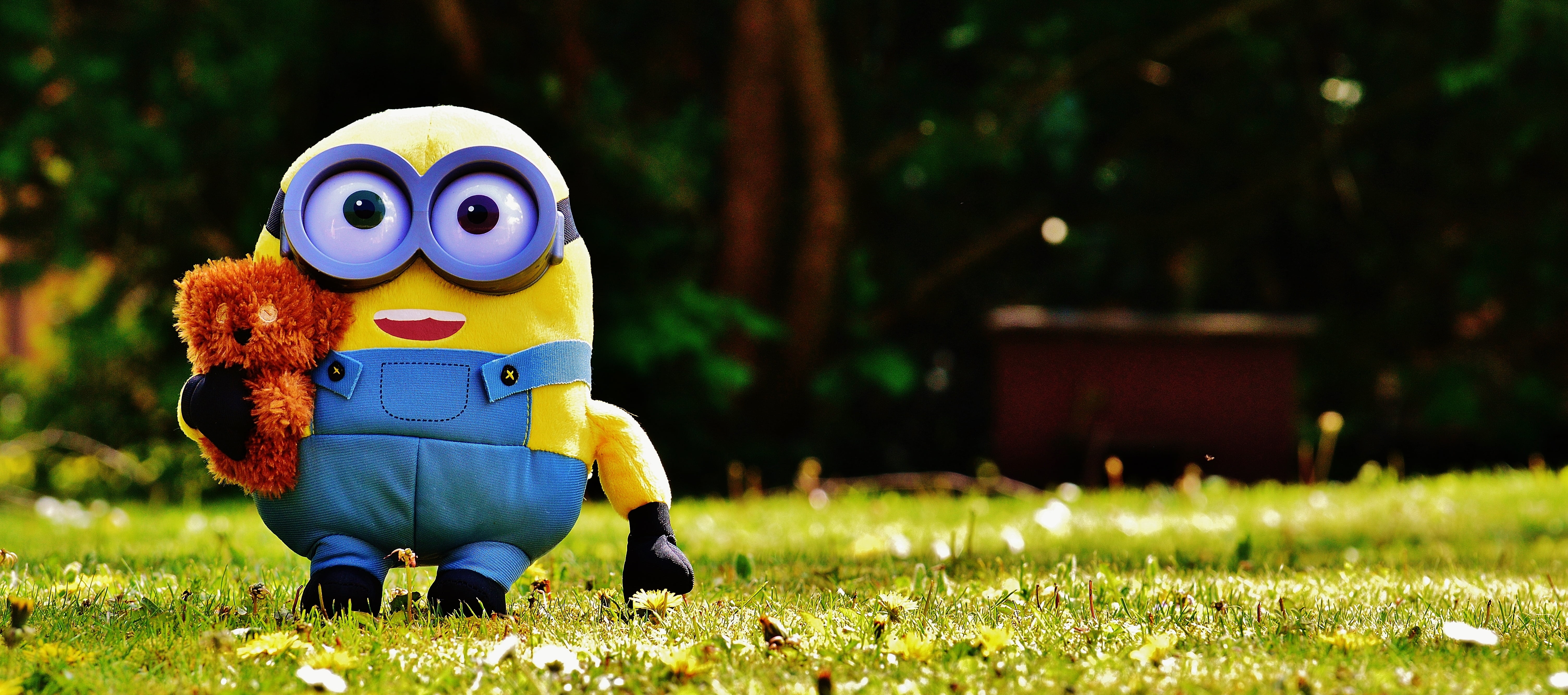 outdoors, plush, nature, mask, disguise, obscured face, funny, representation, fun, mask - disguise, toy, tree, grass, mammal, plant, springtime, focus on foreground, HD Wallpaper