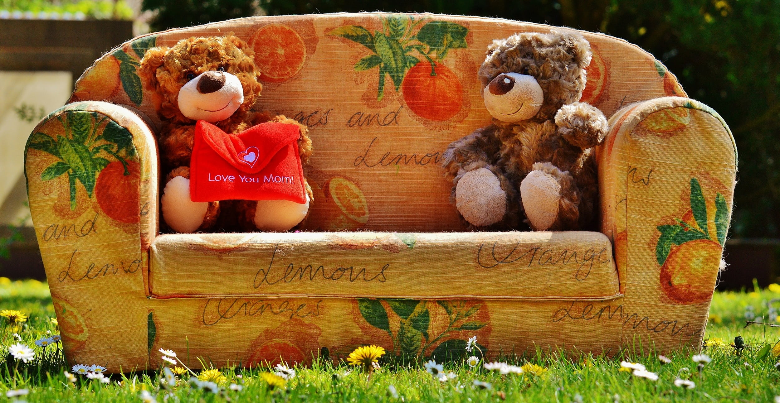 soft toy, container, creativity, sitting, plant, representation, grass, teddy, emotion, relaxation, brown, greetings, nature, human representation, toys, HD Wallpaper