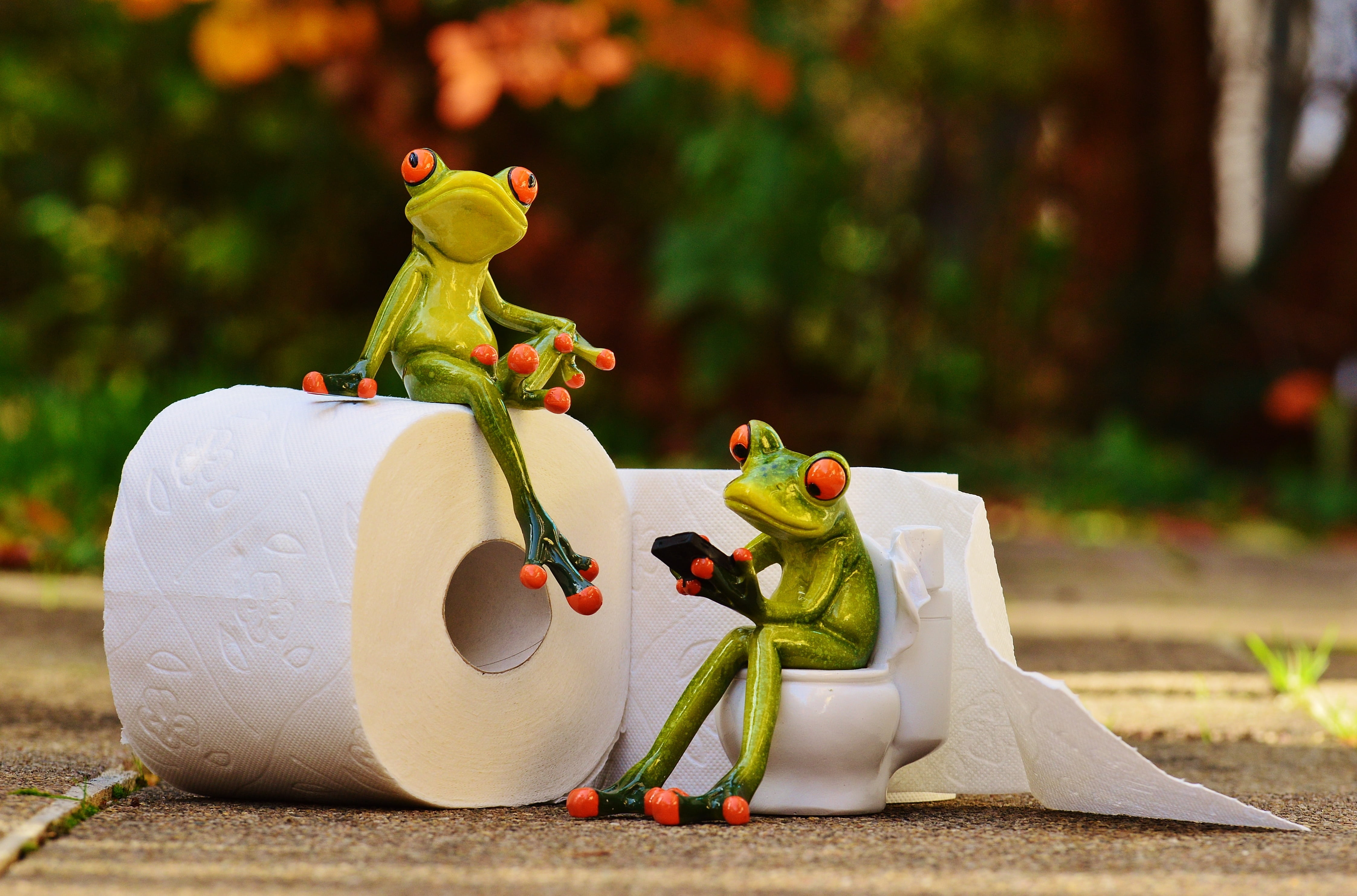 sitting, people, session, outdoors, wc, nature, close-up, plant, green, childhood, toy, cute, frog, full length, representation, toilet, male likeness, HD Wallpaper