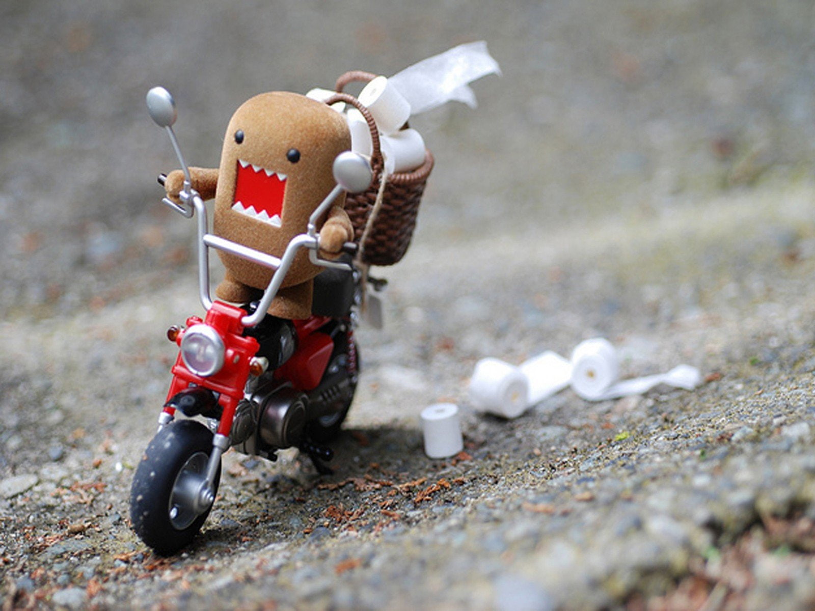 Toilet, Motorbikes, kun, 720P, Domo, funny, paper, HD Wallpaper