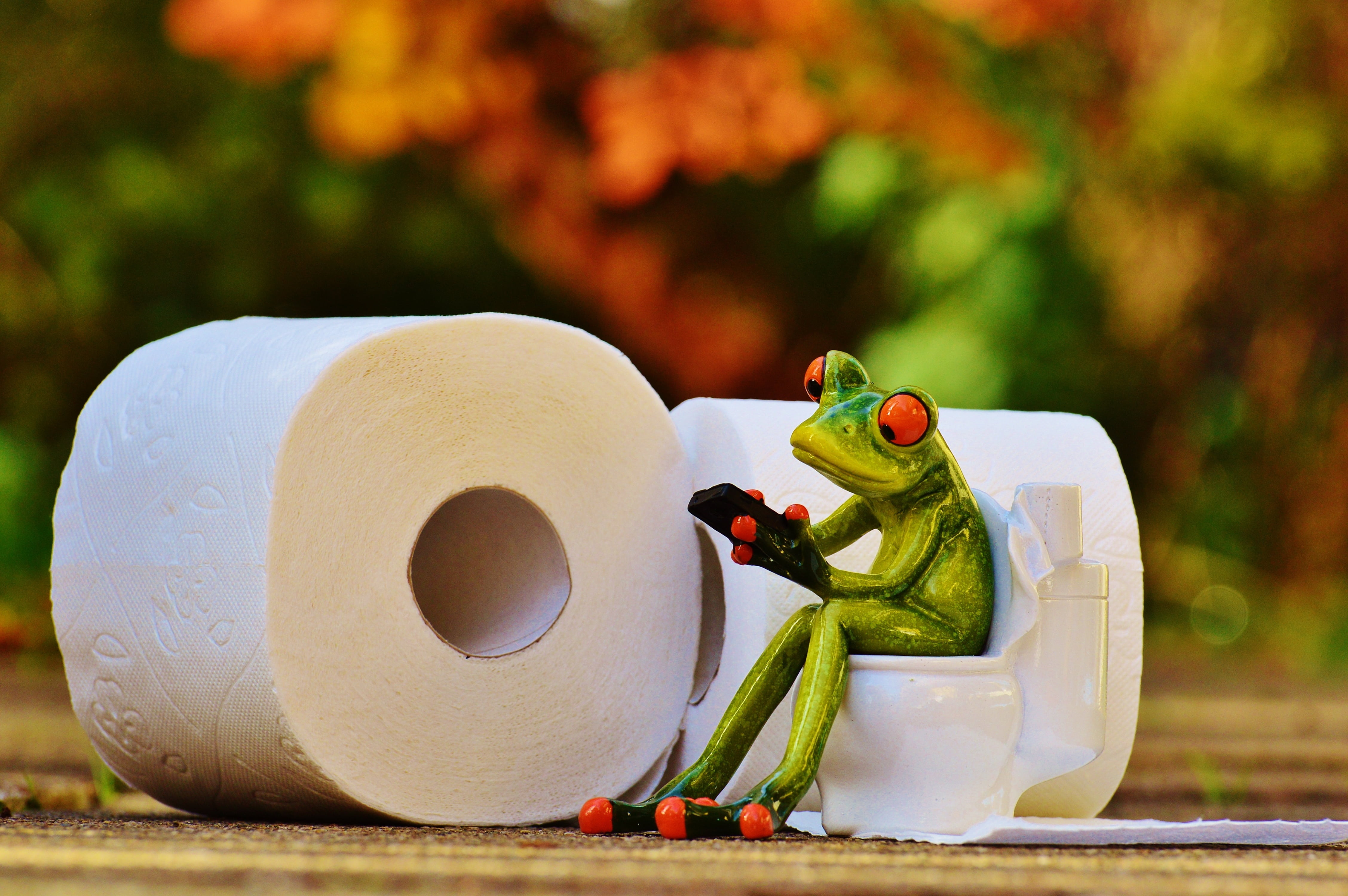 green, loo, toy, plant, session, focus on foreground, cute, animal, creativity, figurine, nature, mobile phone, representation, frog, 4K, bowl, close-up, HD Wallpaper