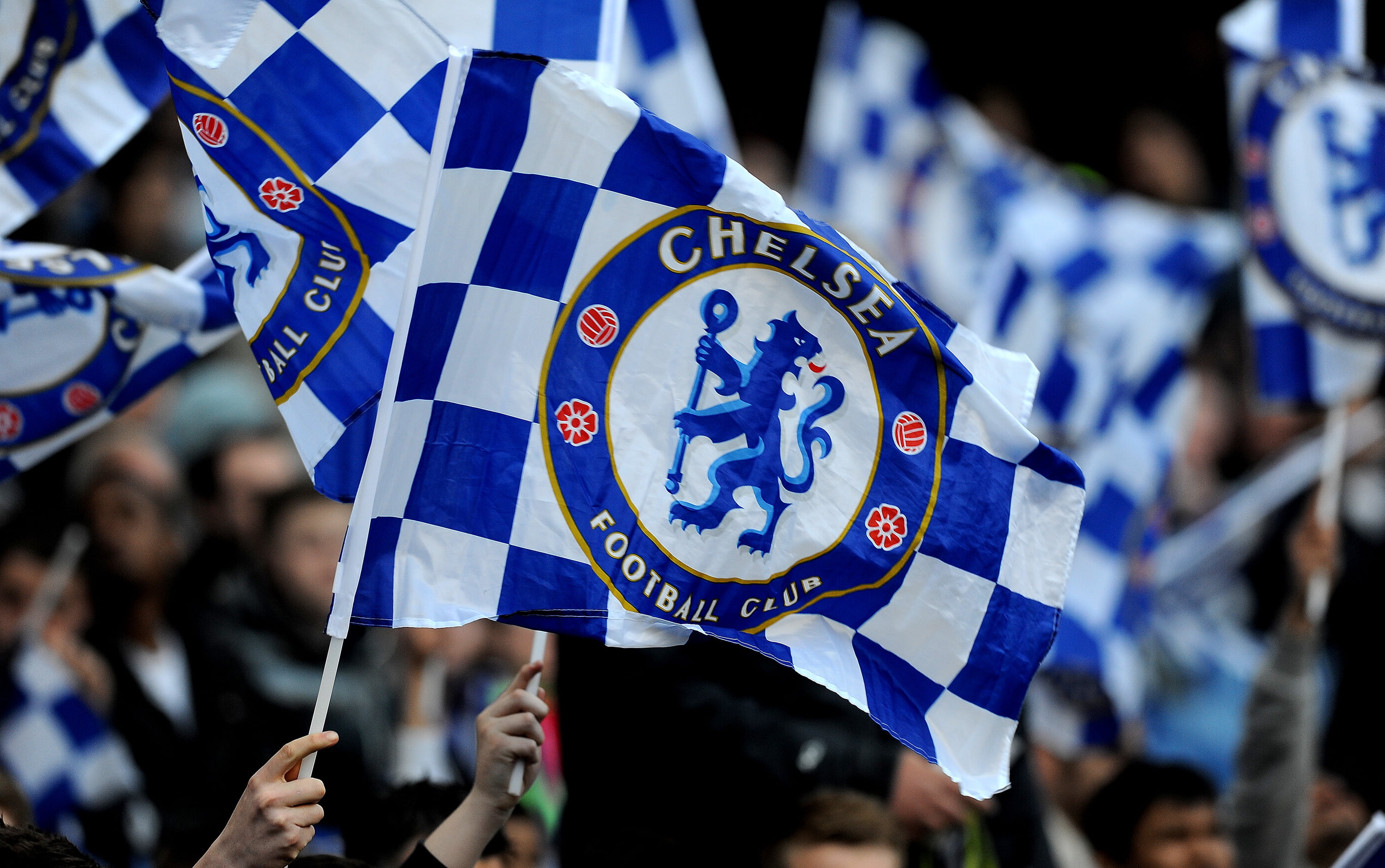 group of people, real people, blue, Chelsea, unity, protest, pride, England, focus on foreground, large group of people, parade, 2K, day, club, independence, HD Wallpaper