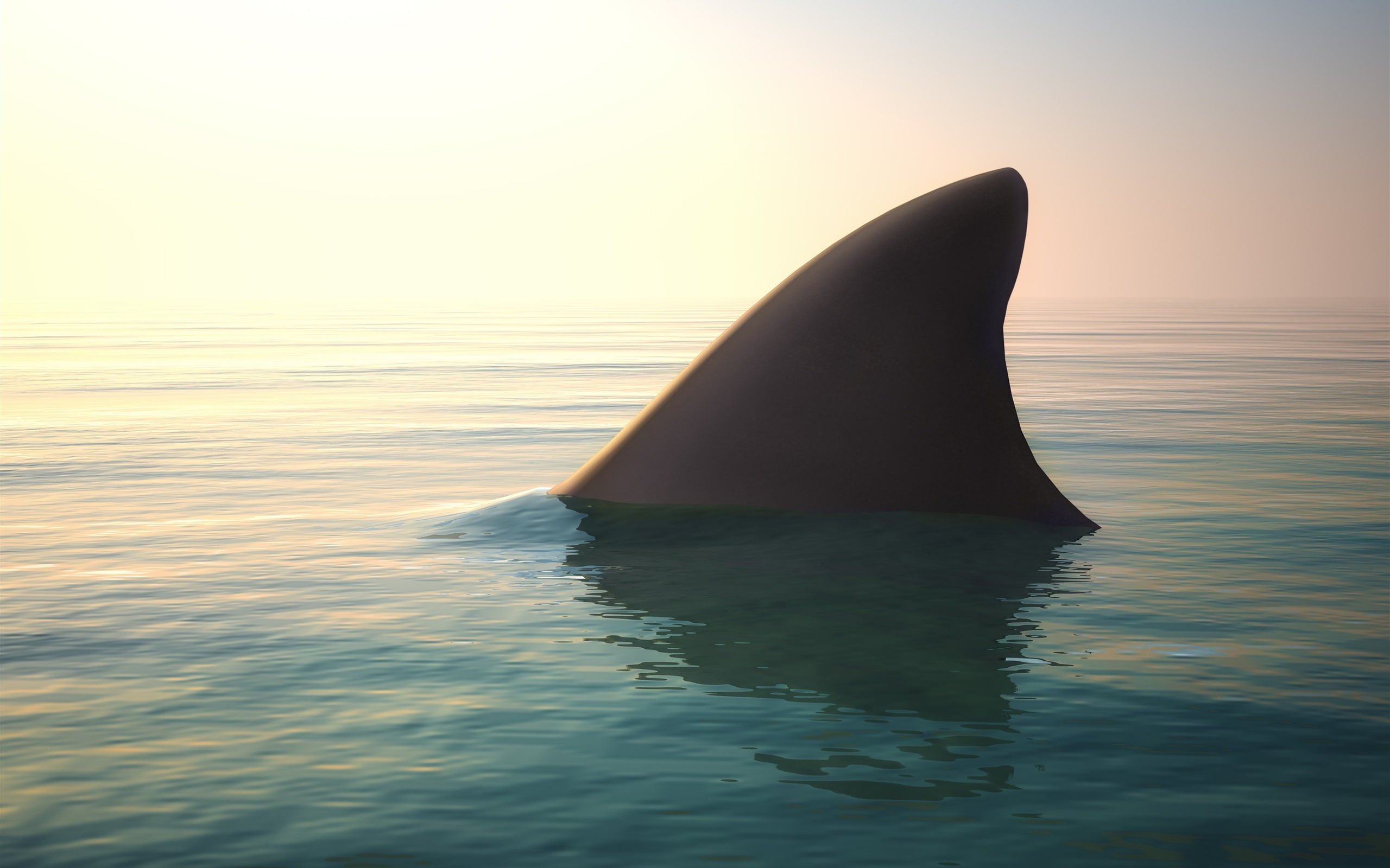 2K, Ocean, Shark, Water, Fin, HD Wallpaper
