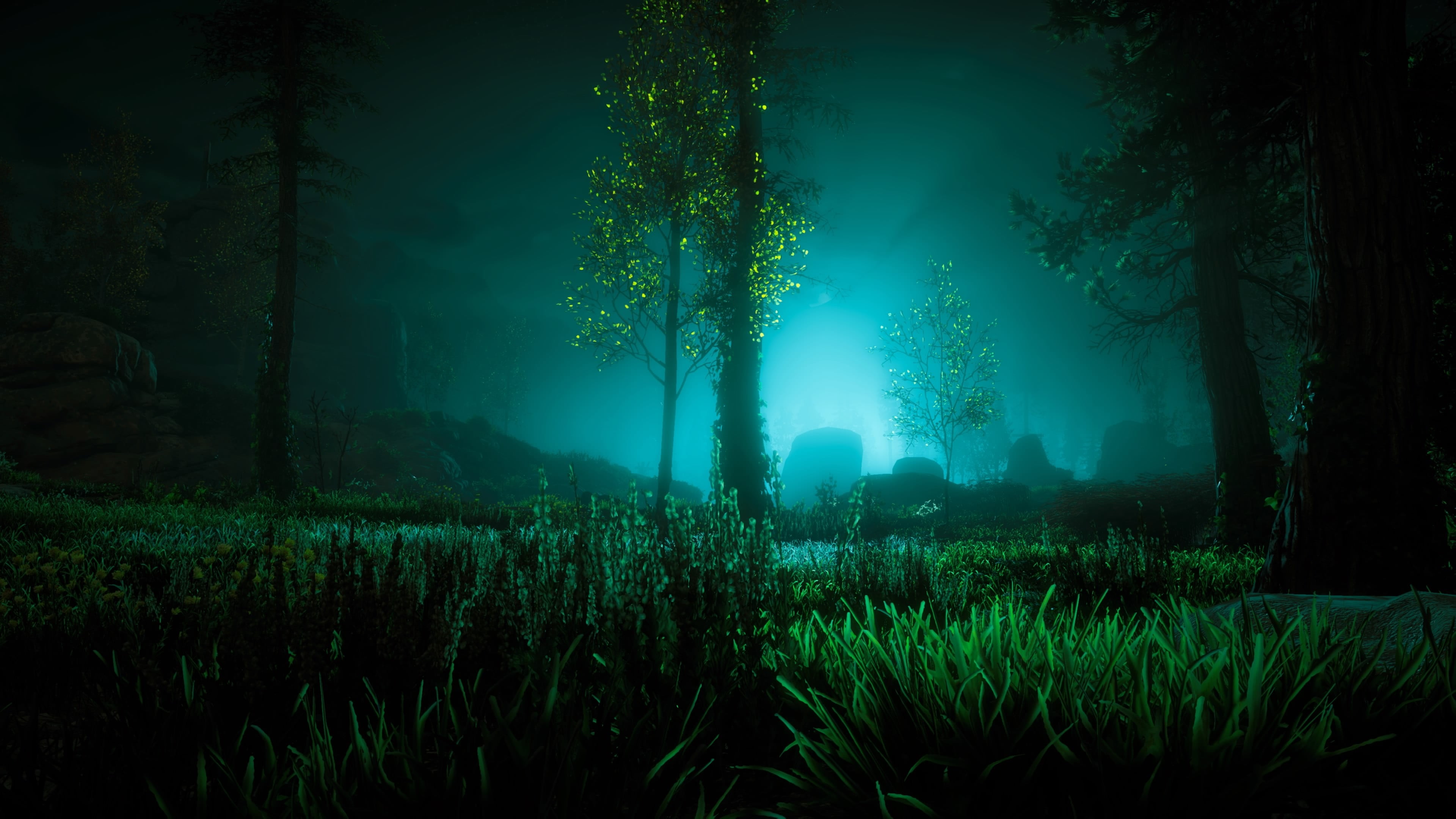 Horizon: Zero Dawn, forest, outdoors, woodland, leafed, field, land, trunk, grass, tree, plant, non-urban scene, Play Station, scenics - nature, nature, HD Wallpaper