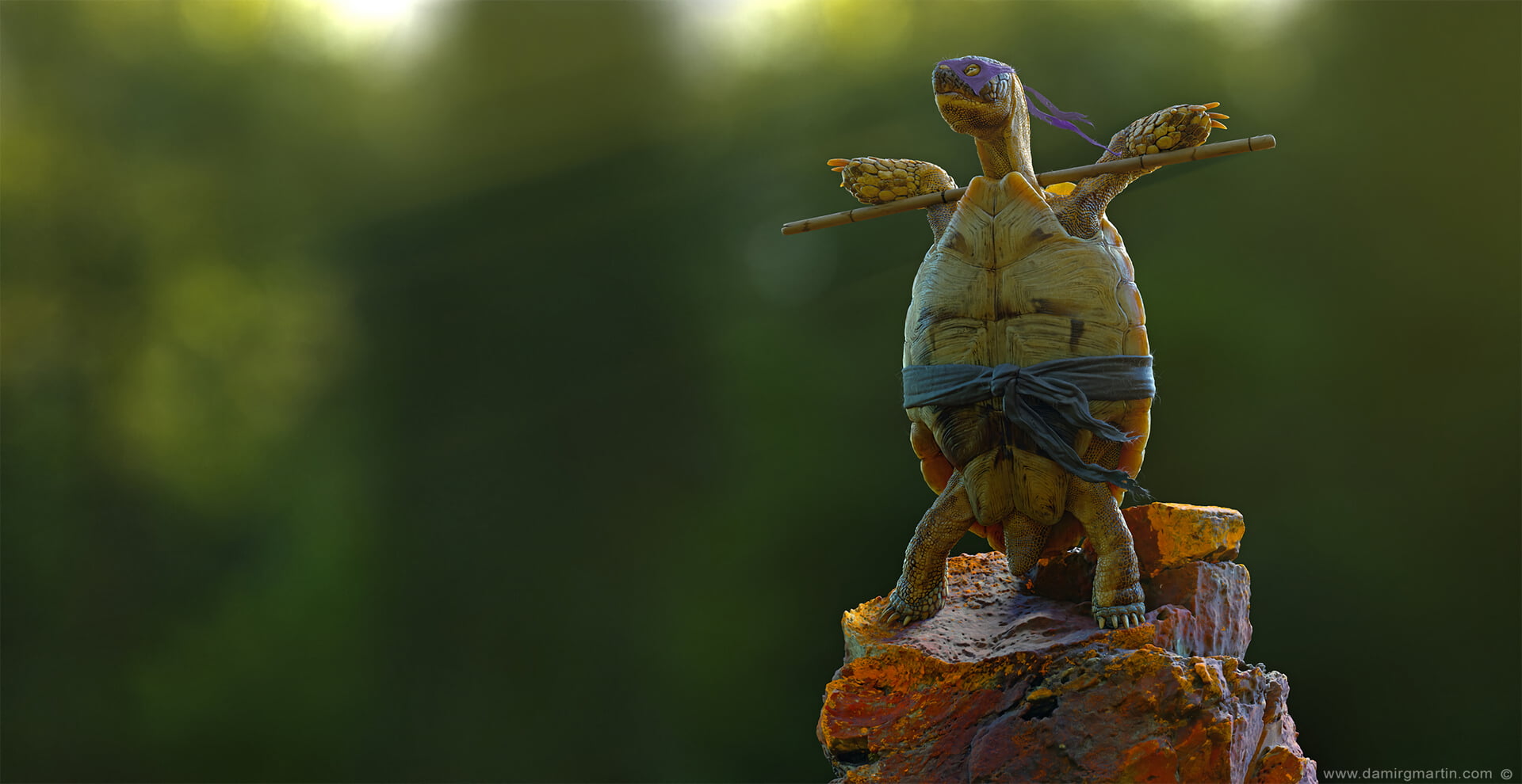 Donatello, Teenage Mutant Ninja Turtles, Ninja, 1080P, rocks, sticks, 3D, humor, bokeh, animals, turtle, standing, CGI, tortoises, HD Wallpaper