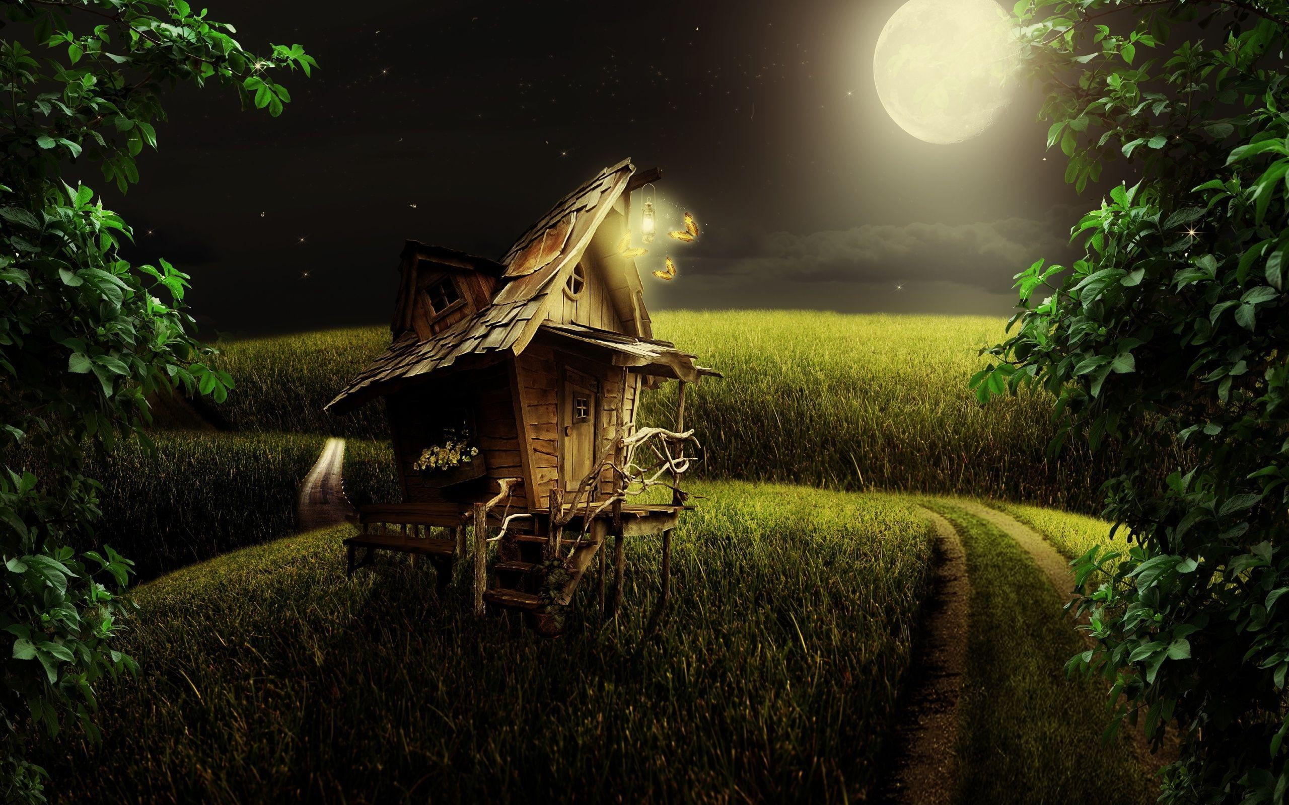 wooden, house, digital art, 2K, moon, surrounded, moonlight, green, little, brown, star, field, wood, painting, 2560x1600, grass, HD Wallpaper