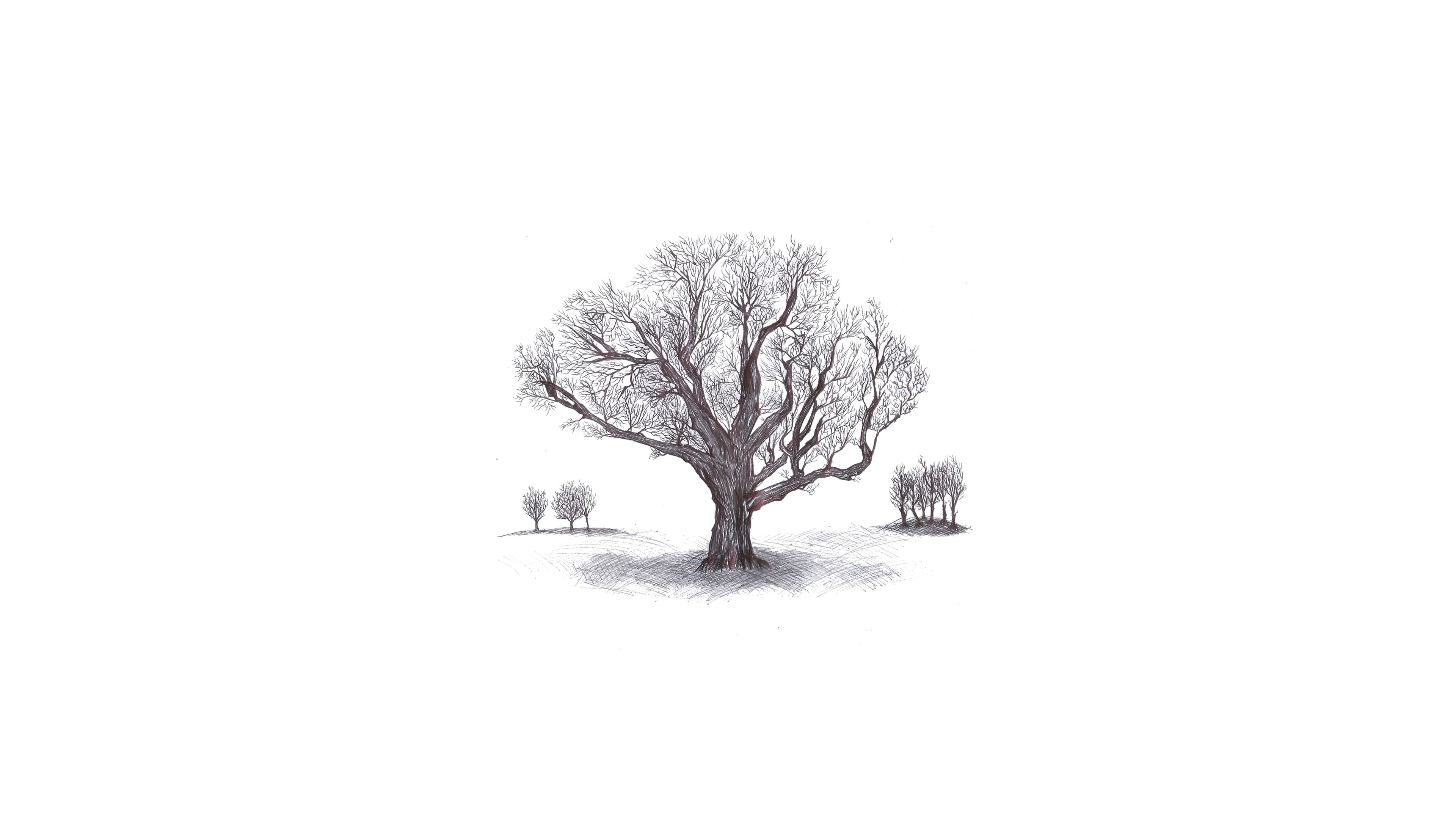 ink, simple, 4K, tree stump, white background, simple background, drawing, artwork, HD Wallpaper