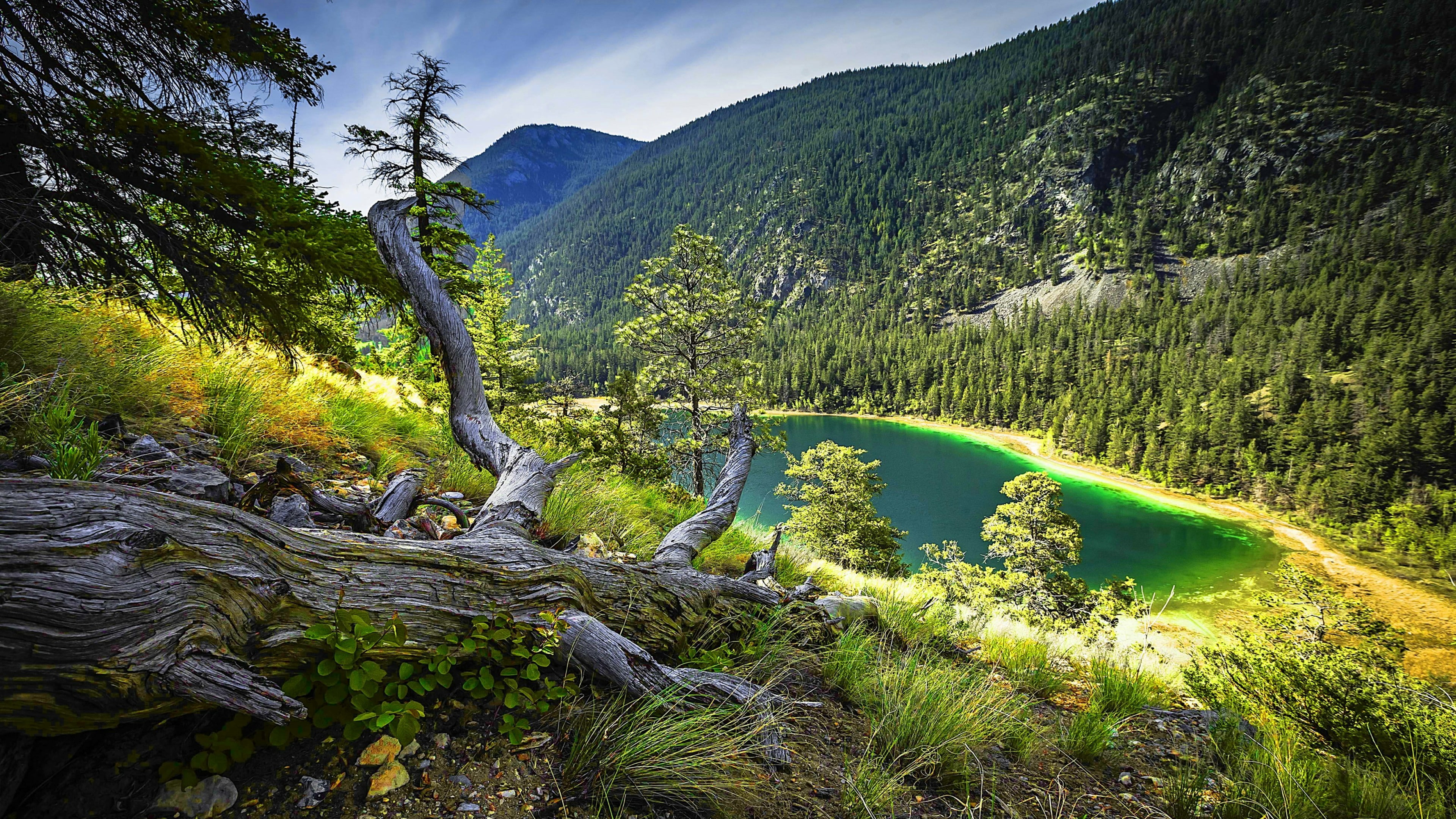 vista, 4K, water, vegetation, nature, mountain, sky, stump, landscape, tree, wilderness, valley, mountain lake, lake, HD Wallpaper