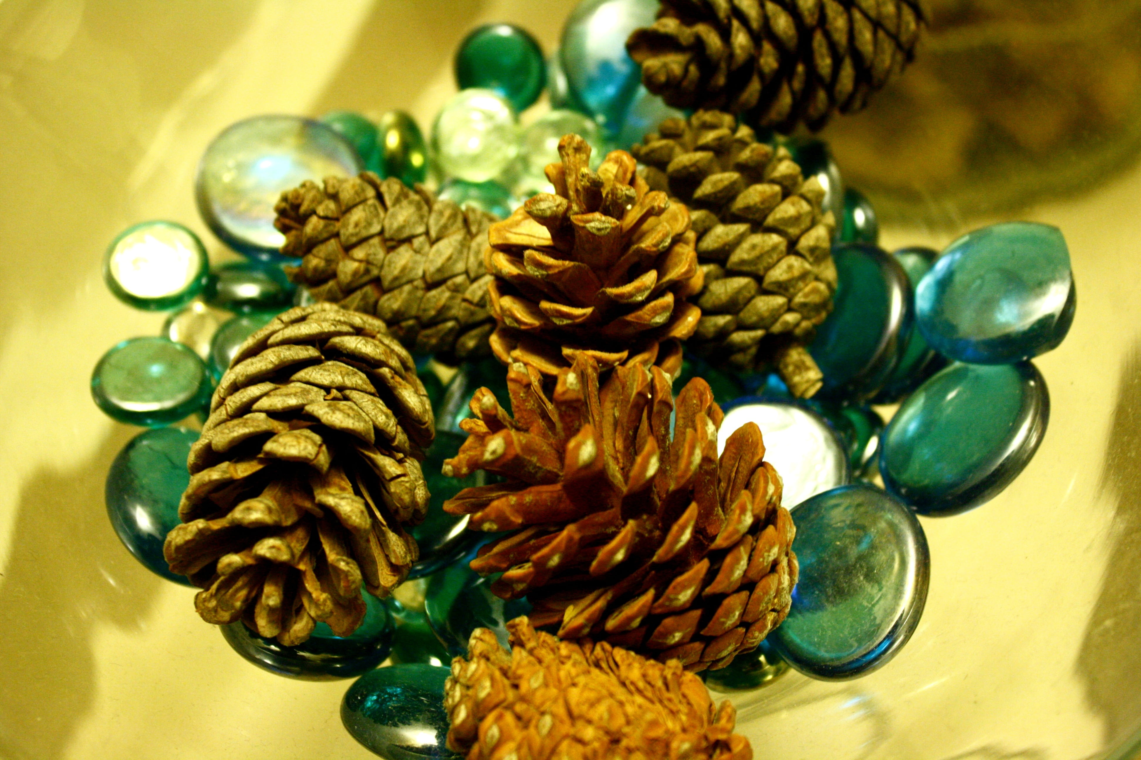 no people, close-up, selective focus, pine, glass, pineapple, celeste, luxury, nature, aquamarine, blue, still life, high angle view, decoration, fruit, HD Wallpaper