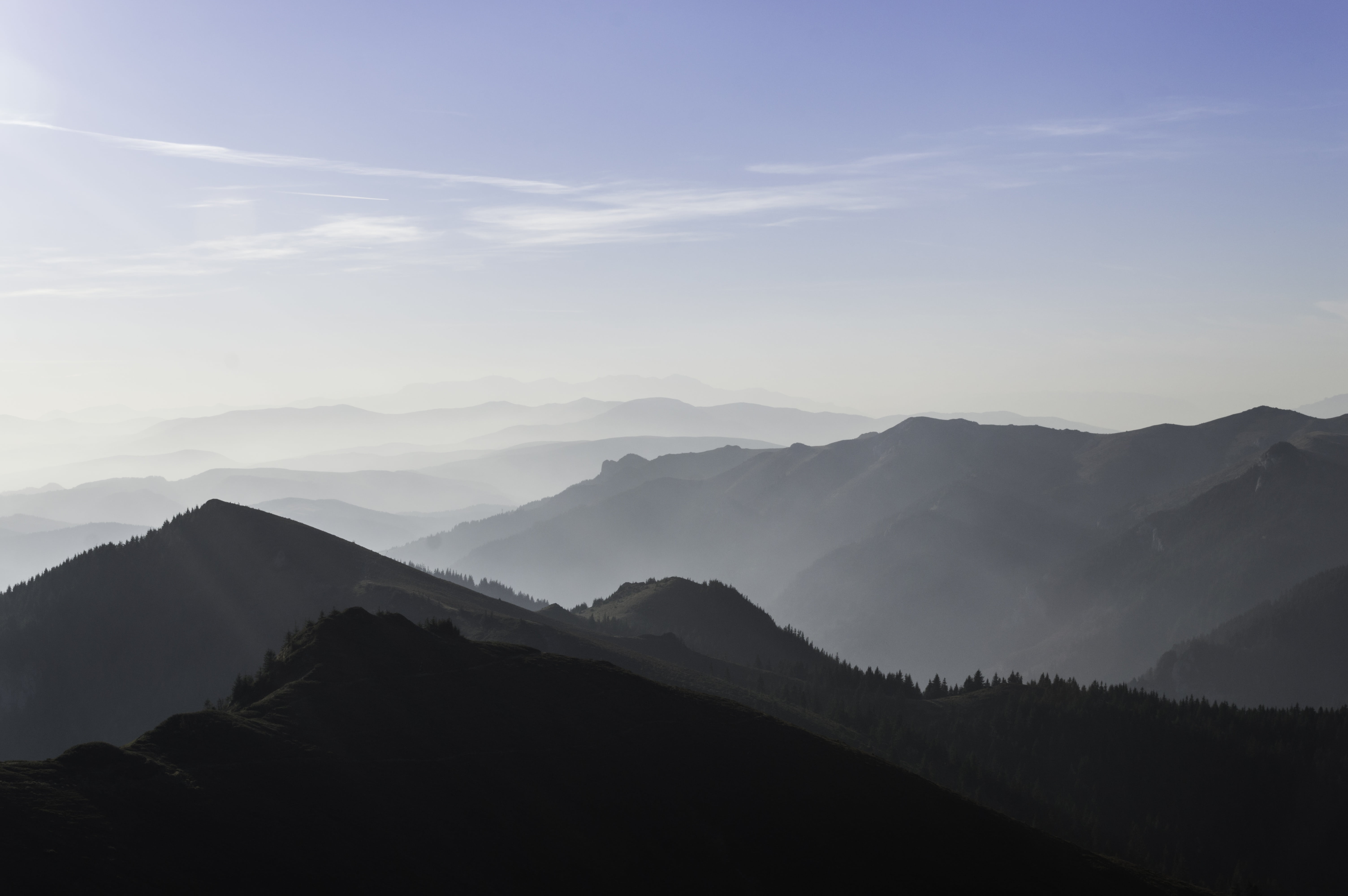forest, summer, tranquility, over, mountain range, tree, tranquil scene, 5K, mountain, morning, no people, cloud - sky, environment, landscape, hill, fog, HD Wallpaper