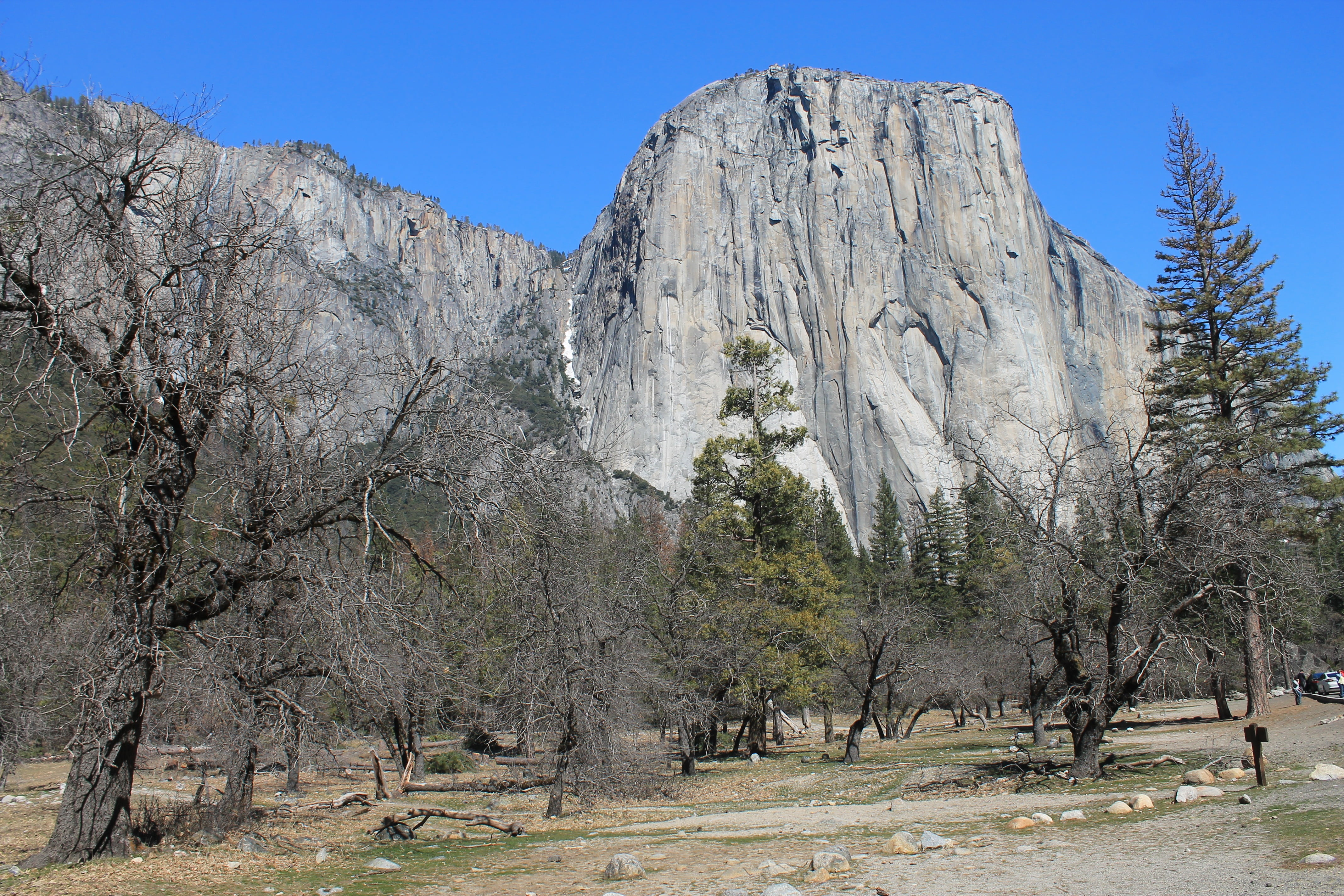america, famous, plant, tourism, pine woodland, mountain peak, geology, pine, nevada, no people, half, yosemite, dry, yosemite National Park, california, HD Wallpaper