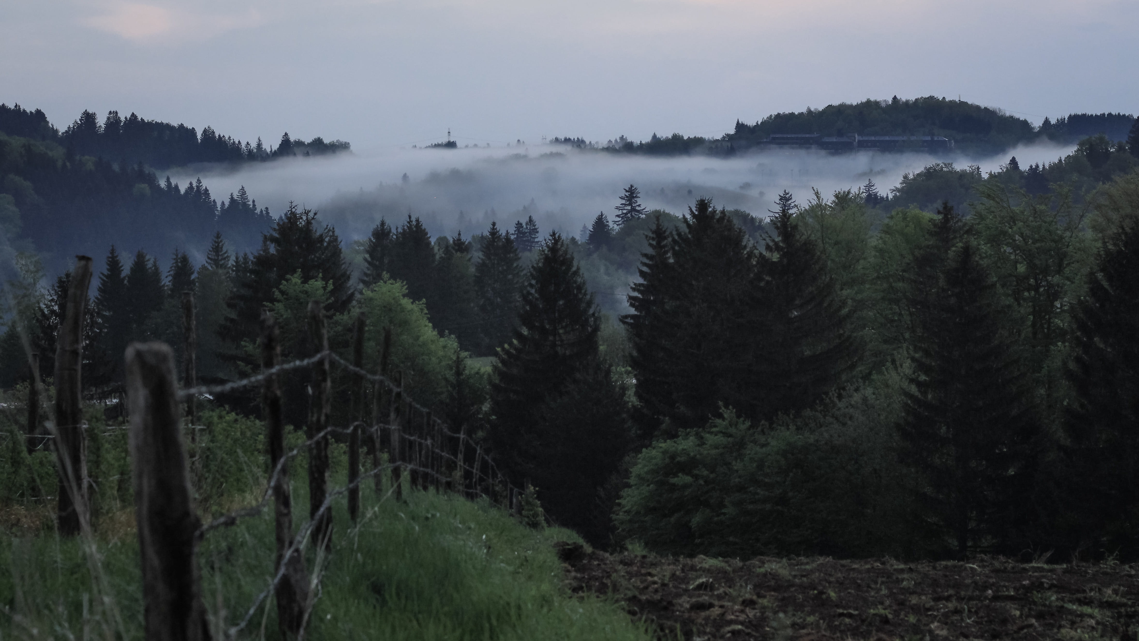 moody, landscape, pine woodland, blue, land, dawn, cold, forest, plant, beauty in nature, dark blue, scenics - nature, green color, serbia, 4K, хотел оморика - тара, HD Wallpaper