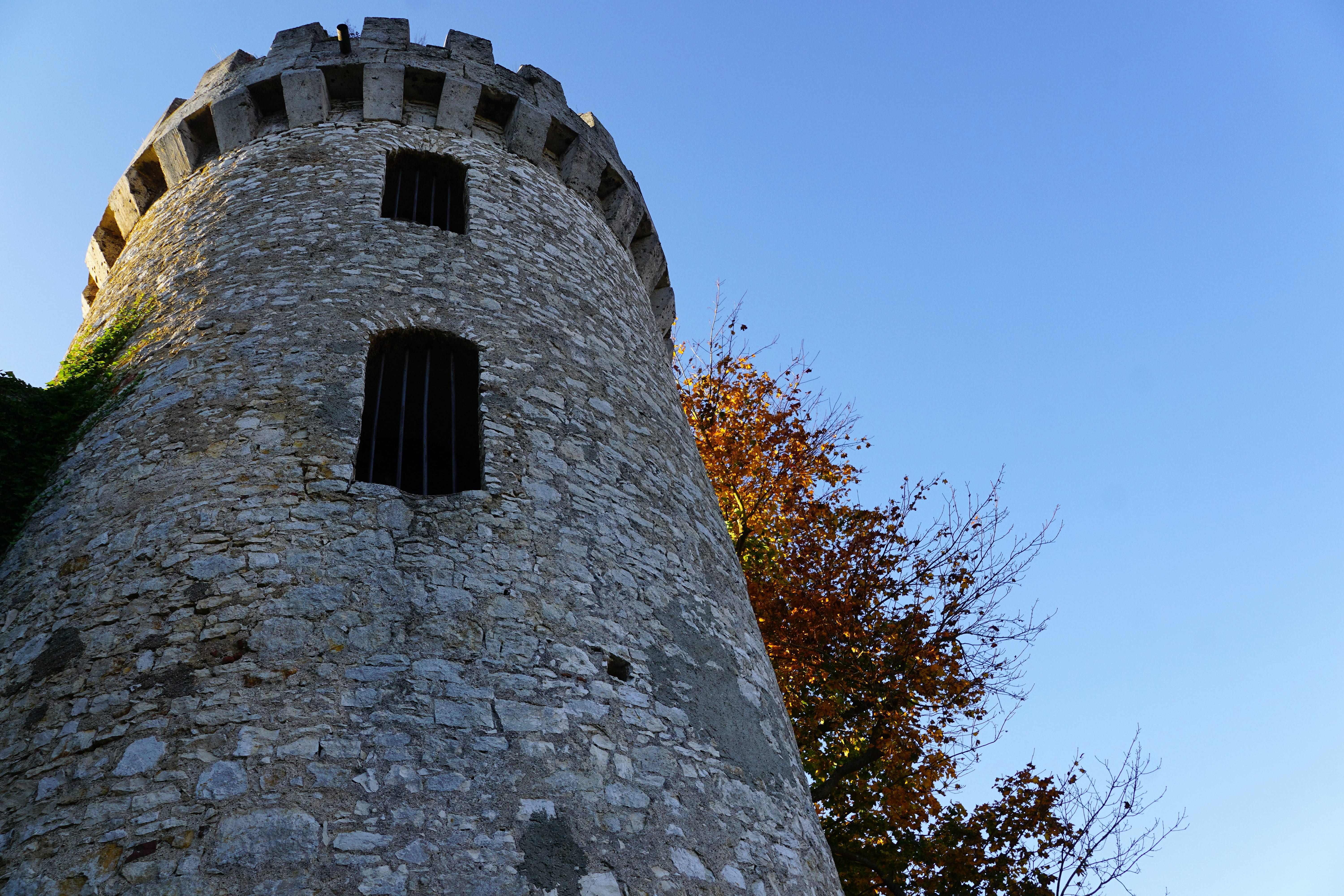 fish, building exterior, nature, maple, outdoor, sunny day, romantic, rest, outdoors, building, honing castle, tower, recovery, bergsee, forest, fall foliage, HD Wallpaper