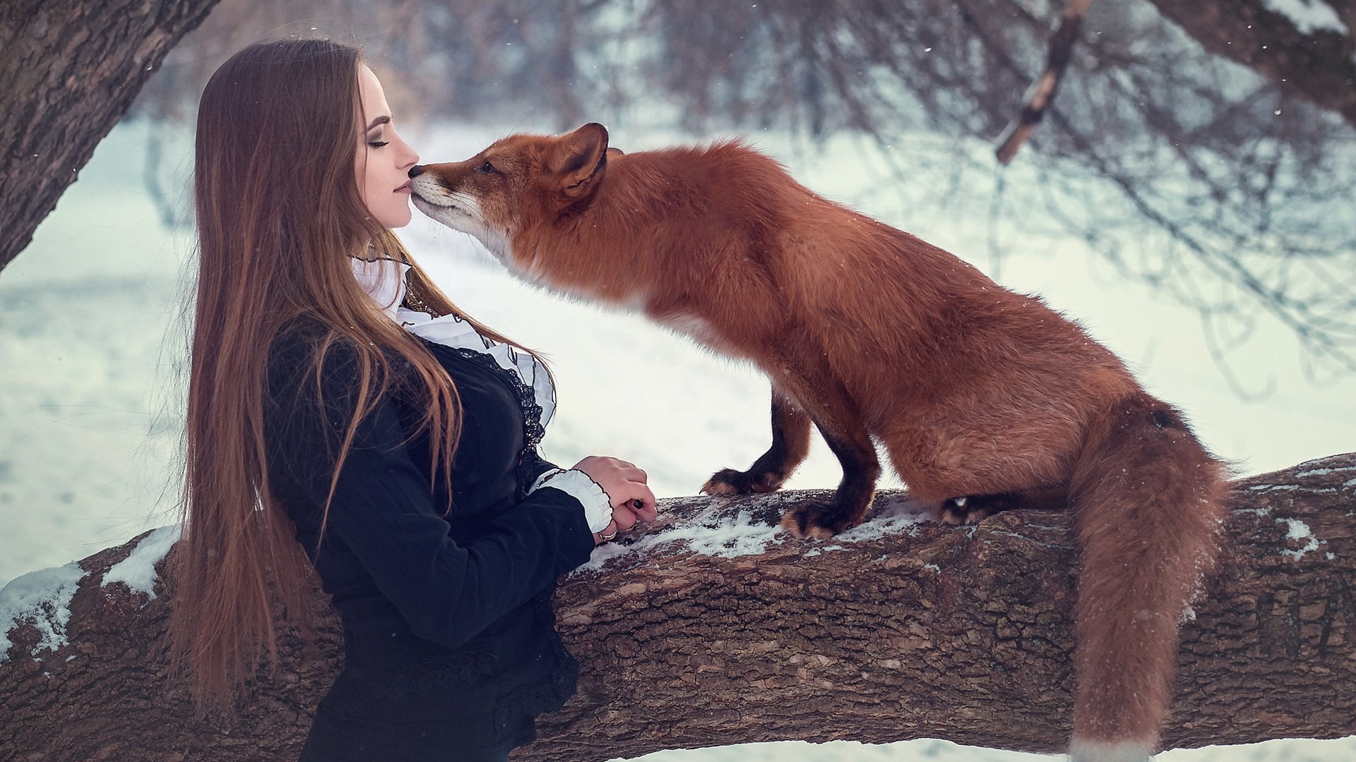 vertebrate, winter, mammal, women, domestic animals, long hair, leisure activity, lifestyles, redhead, tree, warm clothing, hair, snowing, hairstyle, day, HD Wallpaper