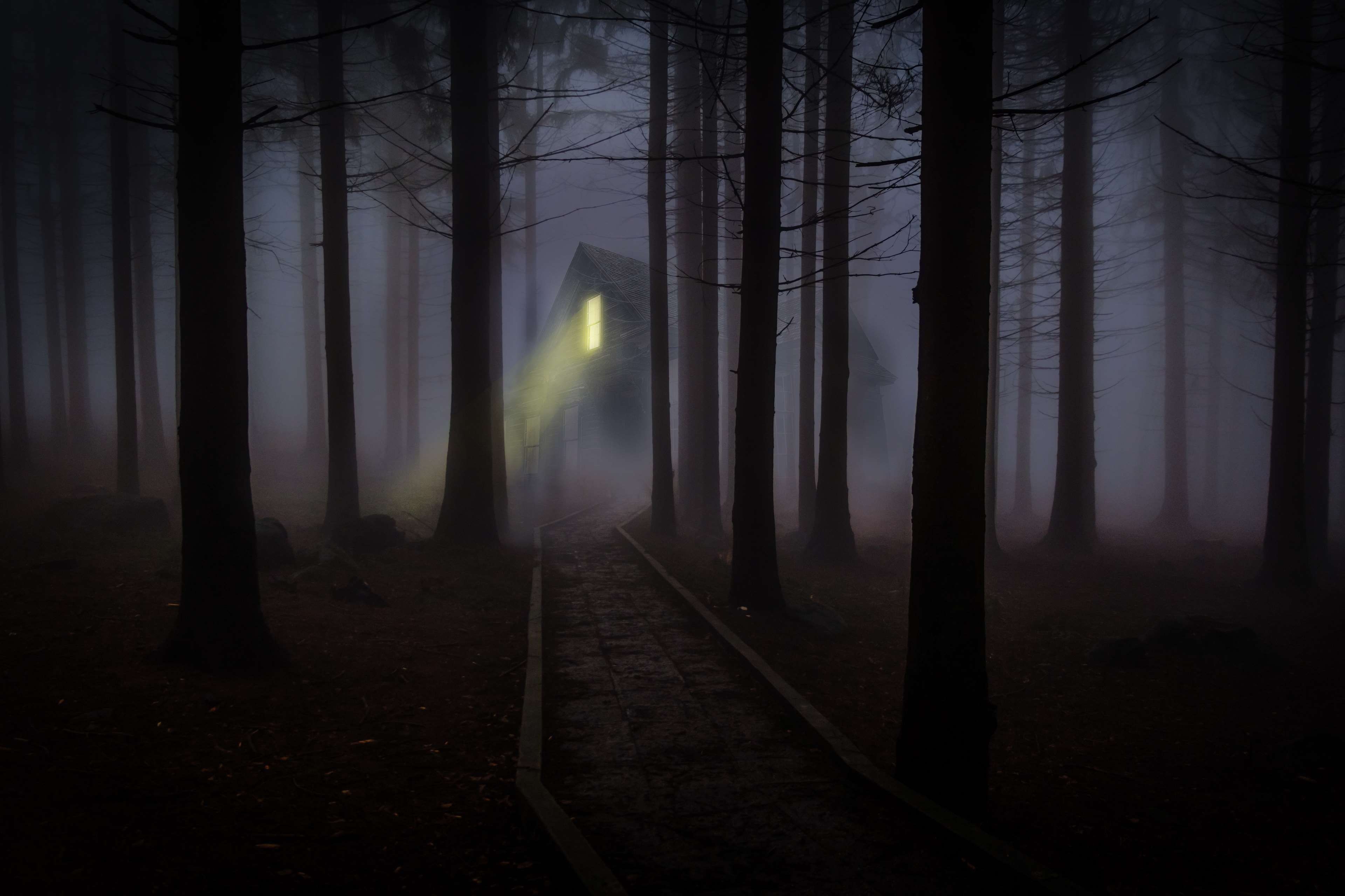 forest, royalty  images, house, mystery, spooky, night, haunted, window, 4K, trees, foggy, dark, fairy tale, photo editing, light beam, mist, fantasy, HD Wallpaper