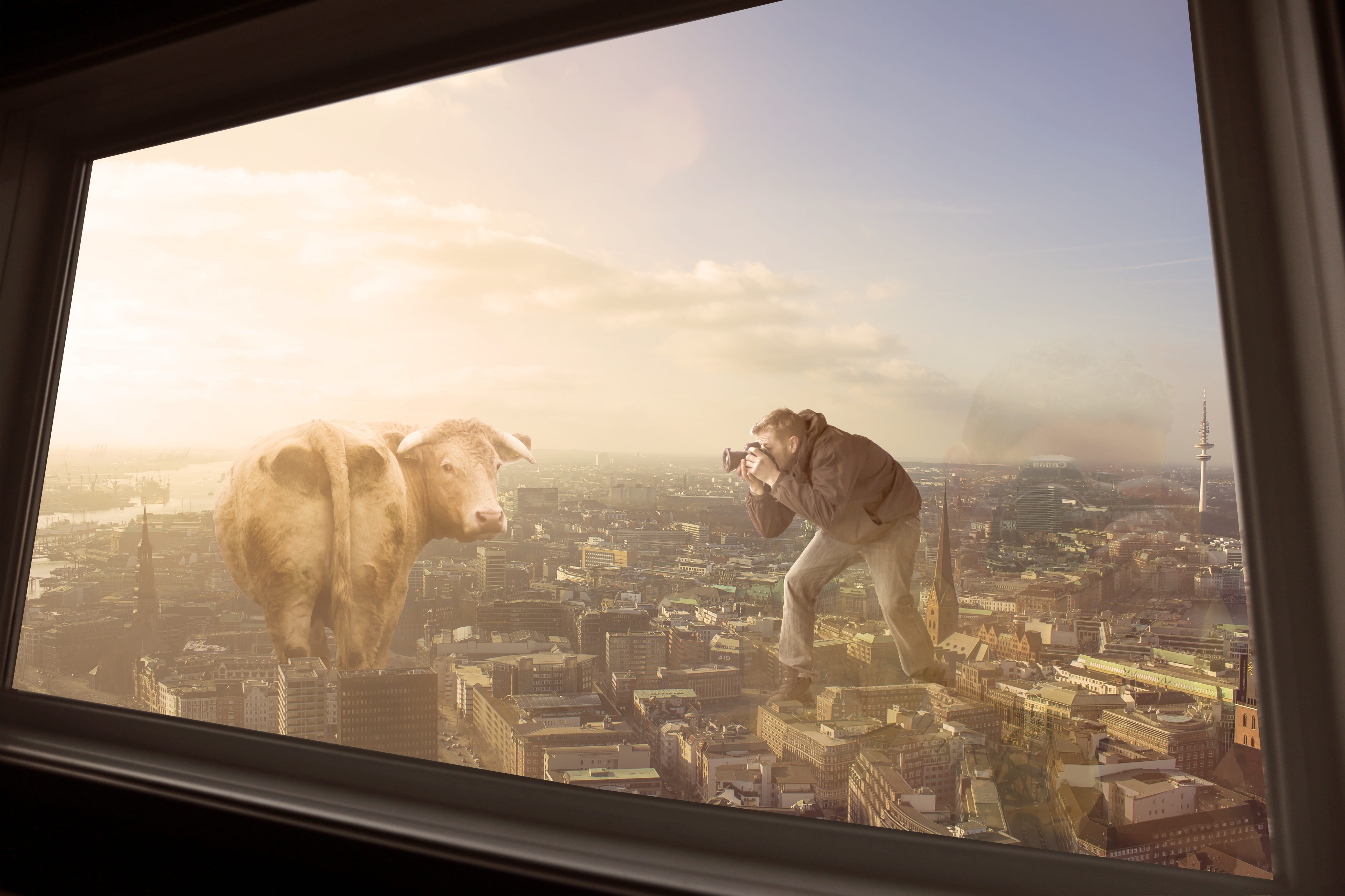 fantasy, day, transparent, digital photo montage, travel, digital art, assembly, cows, composing, surreal, 5K, artwork, dream world, domestic animals, HD Wallpaper