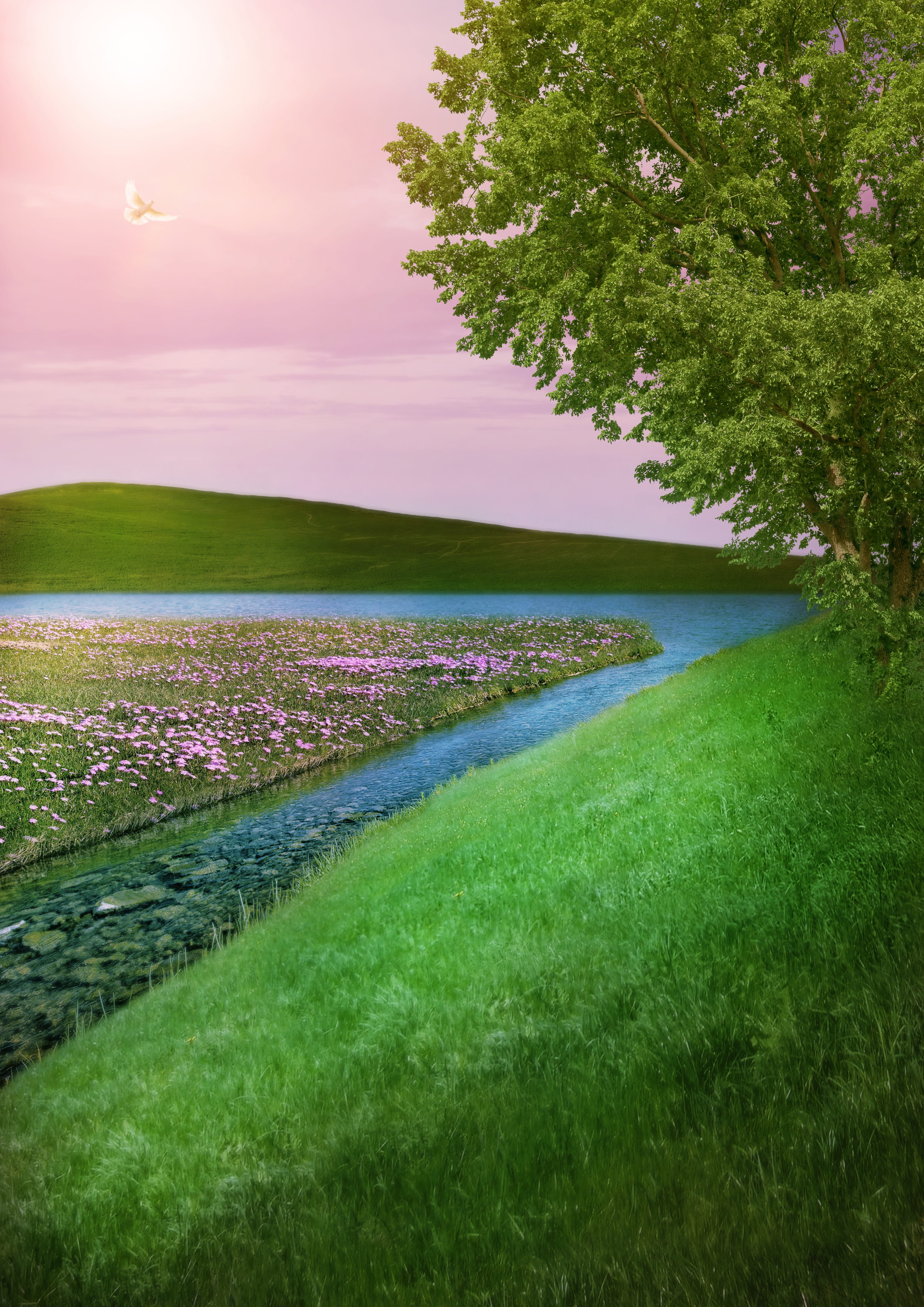 bach, rural scene, empty, landscape, beauty in nature, tranquility, mood, plant, clouds, greeting card, no people, lake, sunlight, tranquil scene, sky, Phone HD Wallpaper