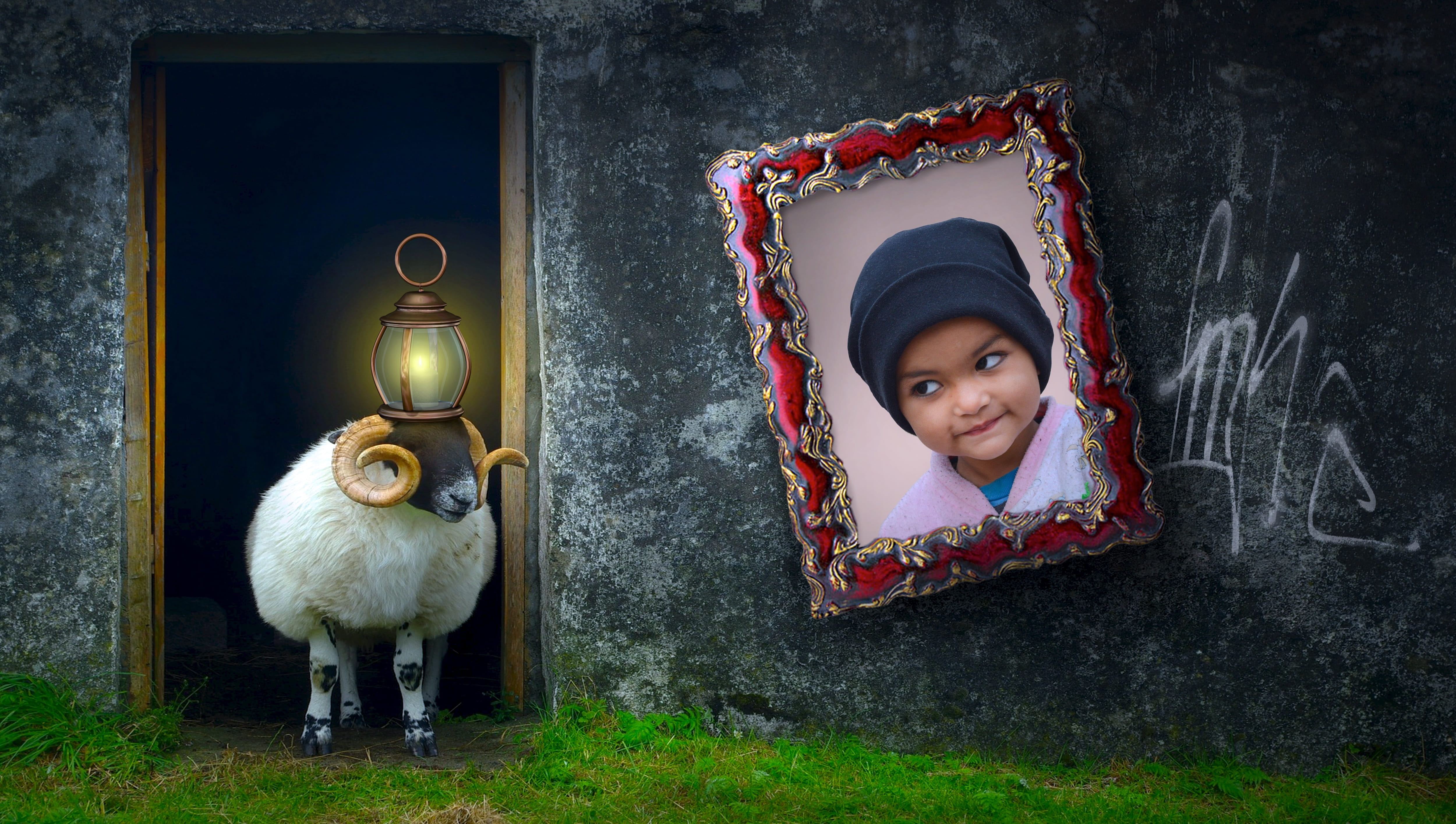 smile, clothing, photo, askew, image design, door, graffiti, domestic animals, black, light, framed, animal, funny, 4K, wall, compositing, candle, beanie, HD Wallpaper