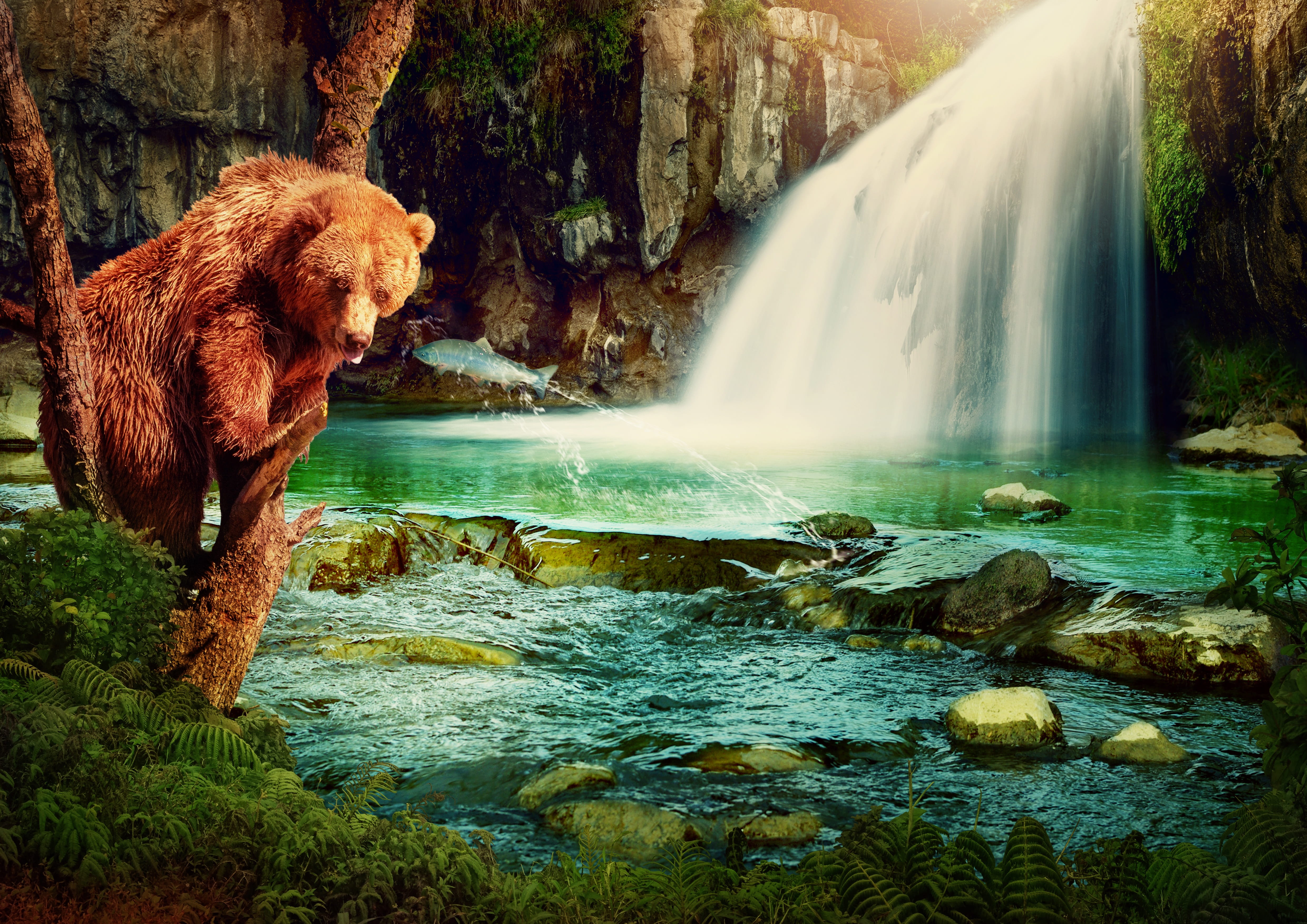 glade, flowing water, long exposure, flying fish, brown bear, plant, fantasy, wait, water, fishing, image manipulation, jungle, river, outdoors, forest, HD Wallpaper