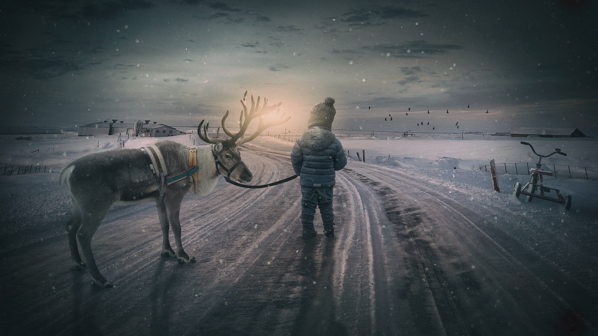 tricycle, abendstimmung, snow, men, nature, coat, moose, horse, small child, sky, domestic animals, person, landscape, boy, wintry, rear view, composing, HD Wallpaper