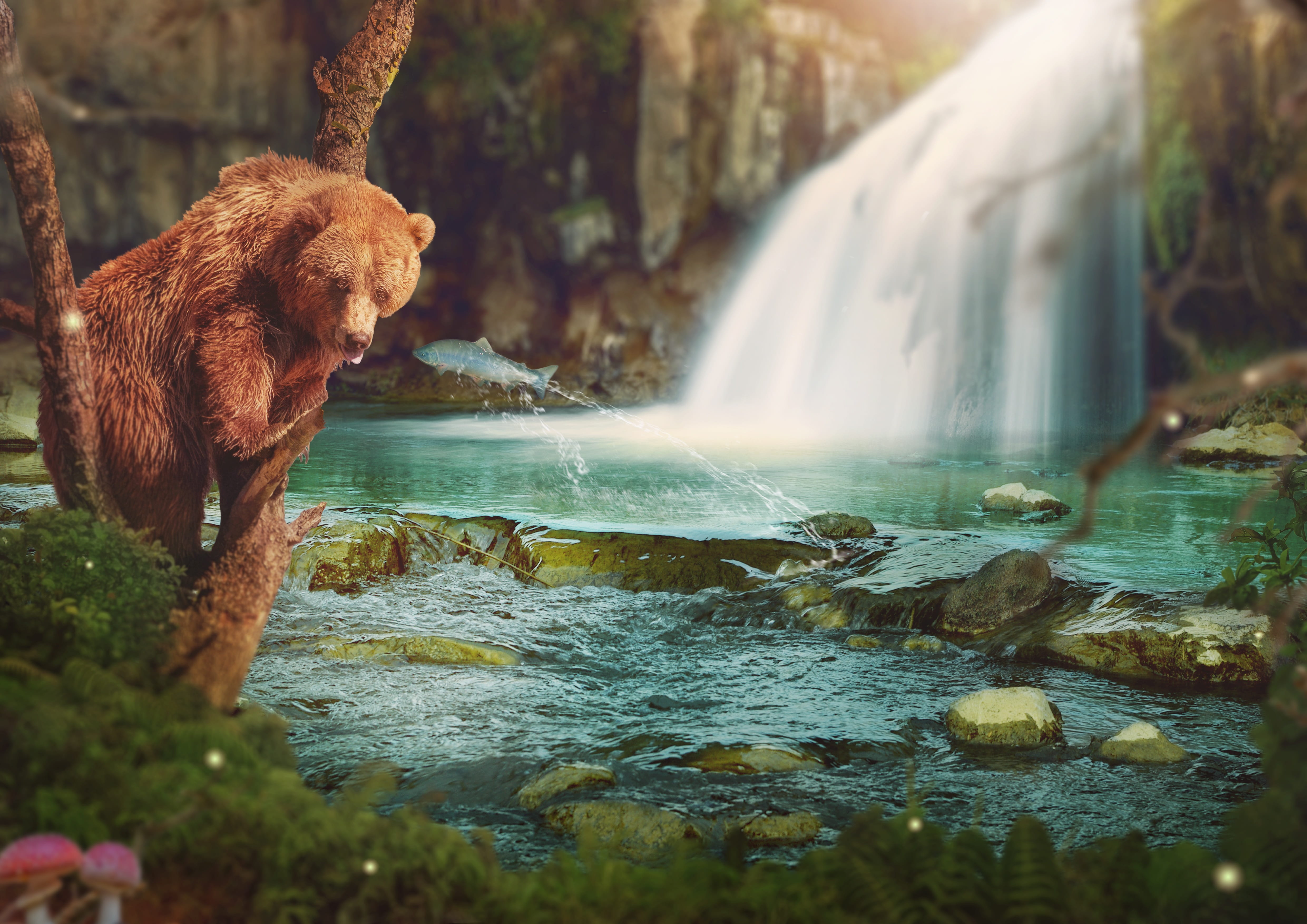 landscape, river, shrubs, tree, wait, flowing water, plant, rock - object, forest, bach, 4K, feed, glade, stream - flowing water, image manipulation, motion, HD Wallpaper