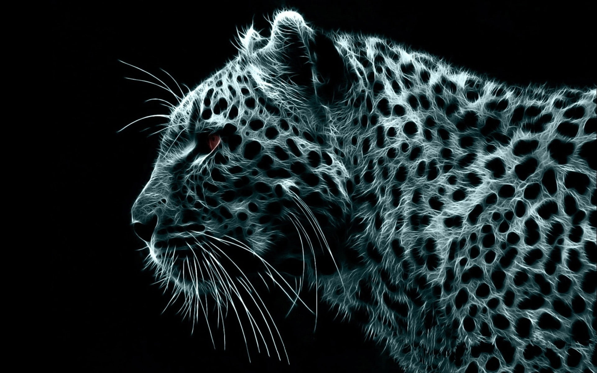 crazy, 1080P, leopard, HD Wallpaper
