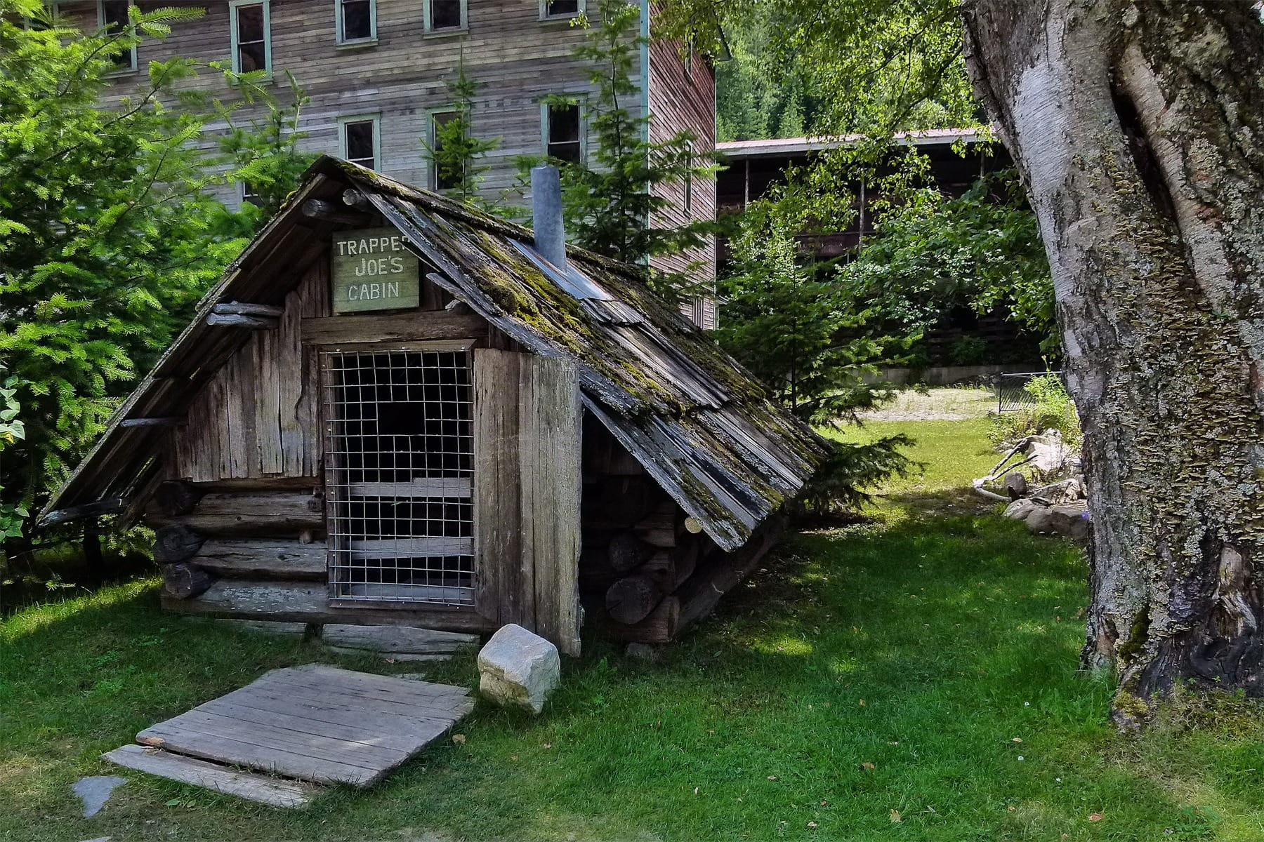 built structure, nature, Hut, 720P, Old, trunk, growth, grass, tree trunk, building exterior, residential district, house, ghost town, outdoors, Heritage, HD Wallpaper
