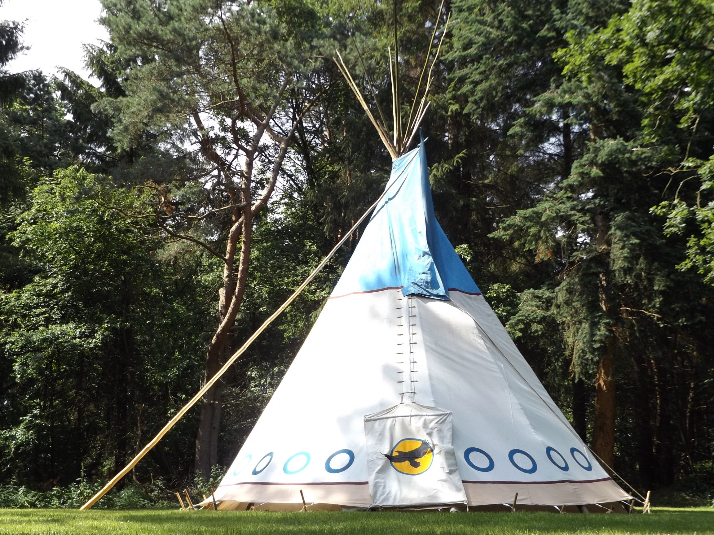 indians, wilderness, no people, tipi, summer, architecture, camping, transportation, meadow, growth, tent, tree, grass, shape, nature, pole, family, group, HD Wallpaper