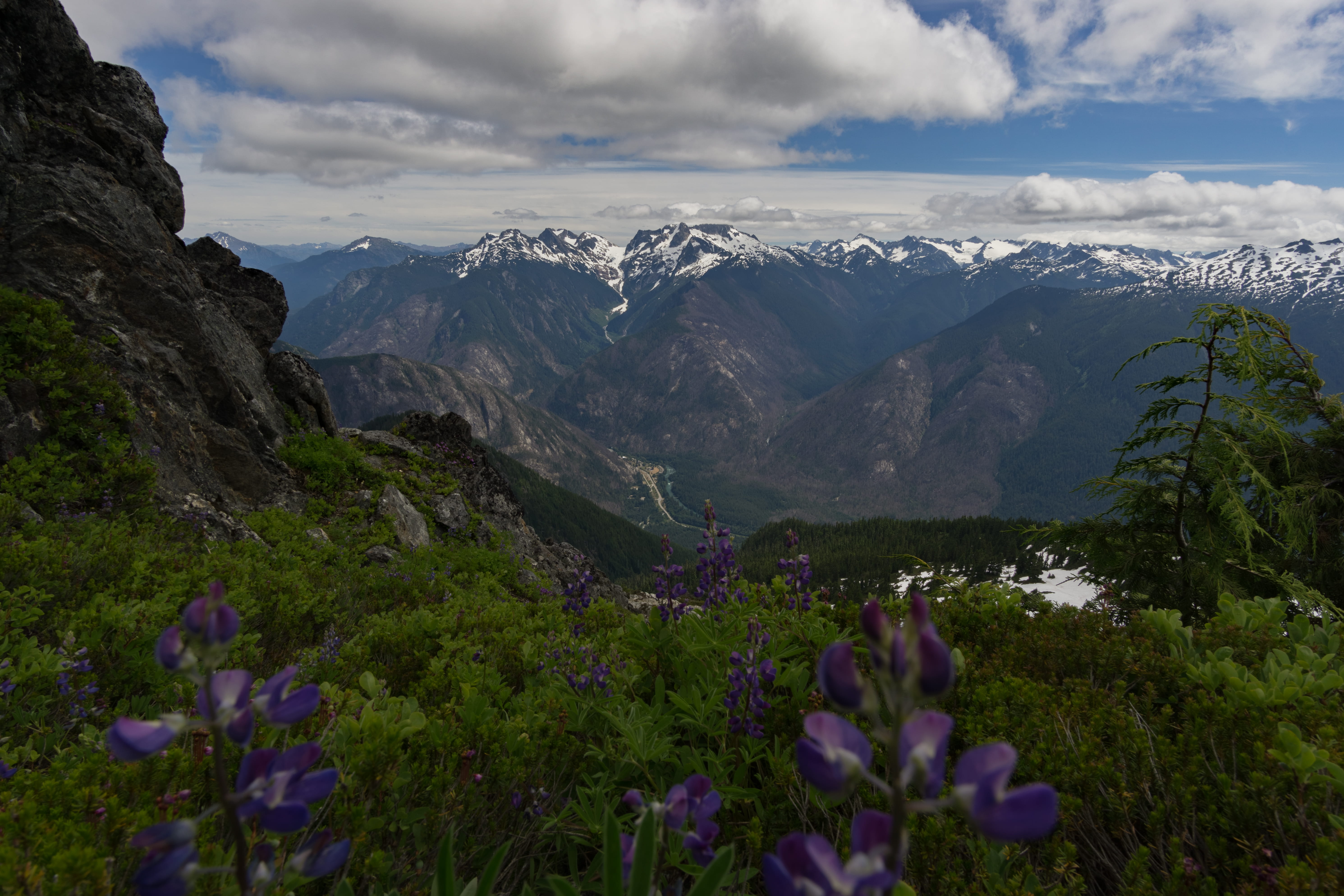 non-urban scene, flower, mountain, snowcapped mountain, land, sky, tranquility, flowering plant, cascades, nature, snow, outdoors, trappers peak, landscape, HD Wallpaper