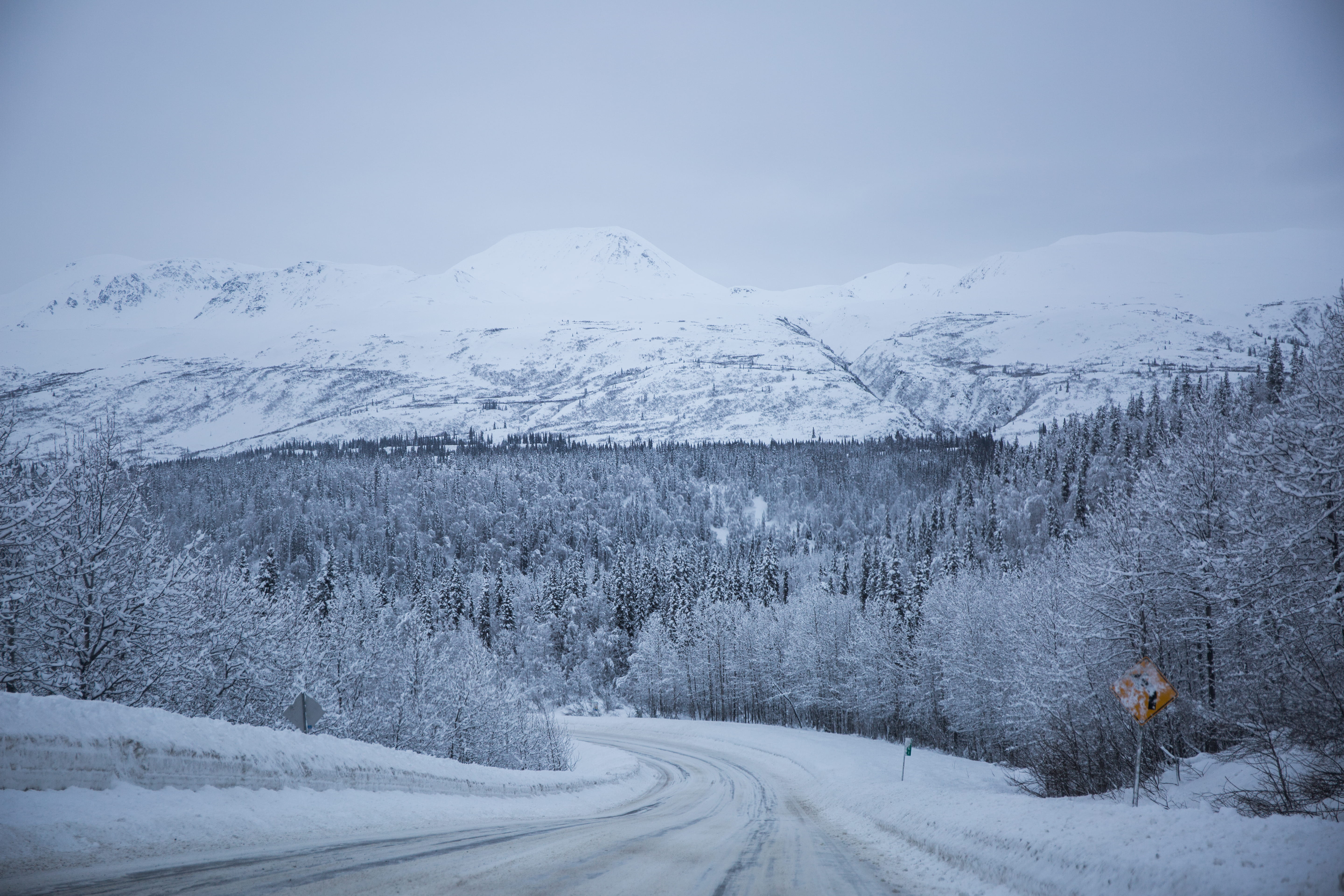 transportation, covering, denali state park, winter, denali, sky, snow, park, white color, trapper creek, non-urban scene, snowcapped mountain, extreme weather, HD Wallpaper