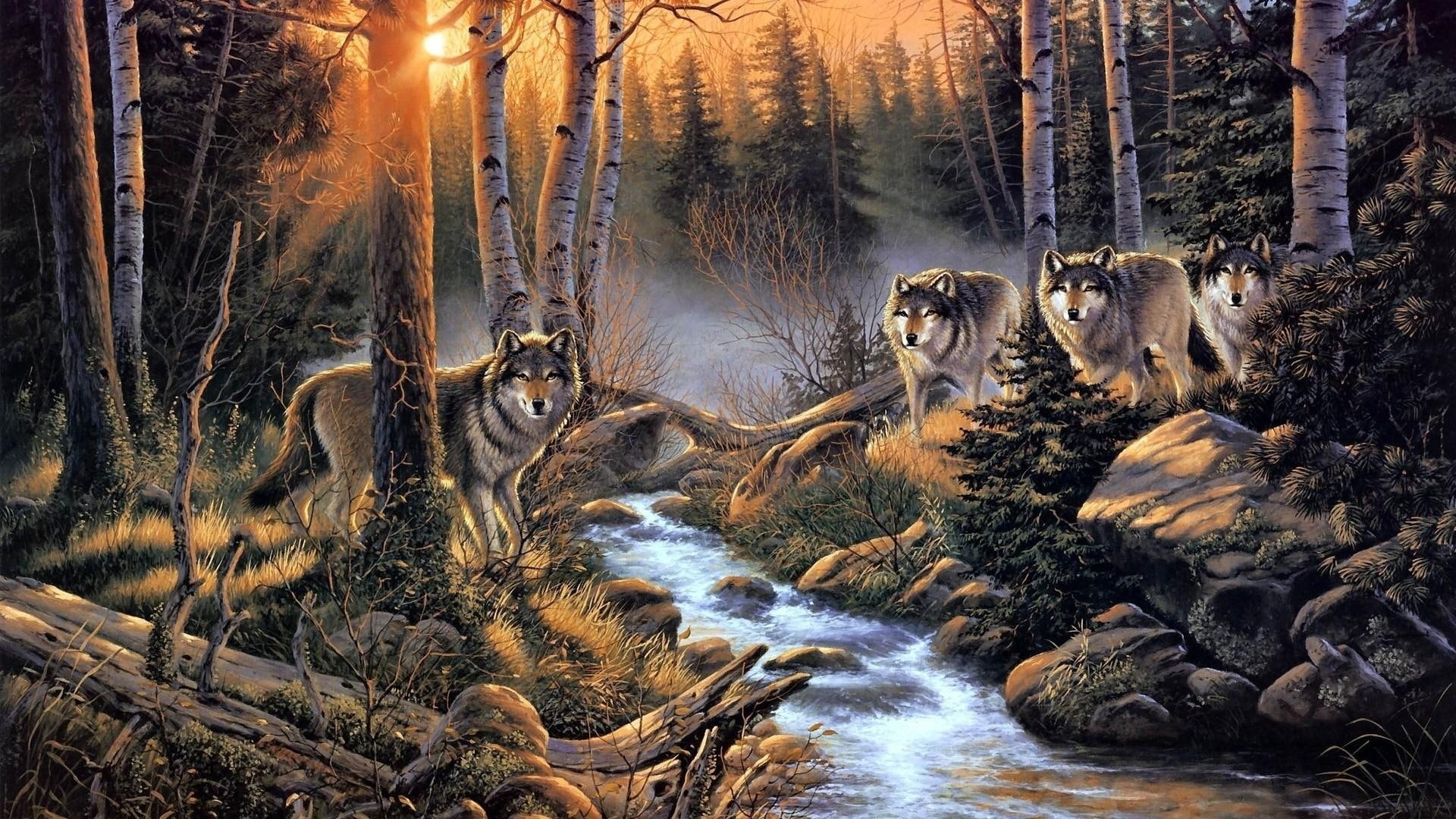 animals, wolves, river, sunset, trees, forest, stream, meeting, pack, painting, wolf, 1080P, HD Wallpaper