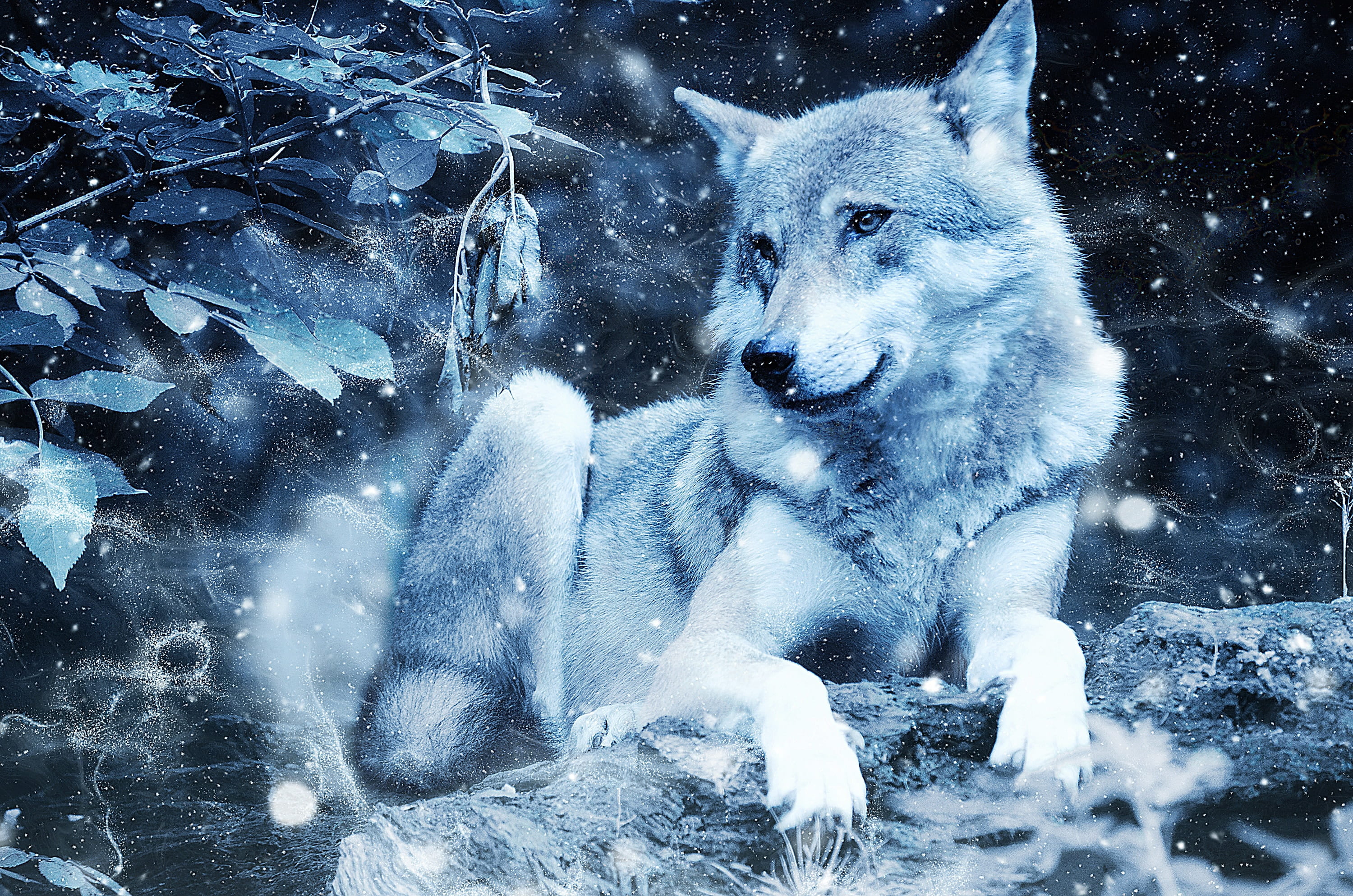 animals hunting, page, scrapbook, ornament, animal, no people, paper, decoration, winter, photo, design, extreme weather, vertebrate, snowing, outdoors, HD Wallpaper