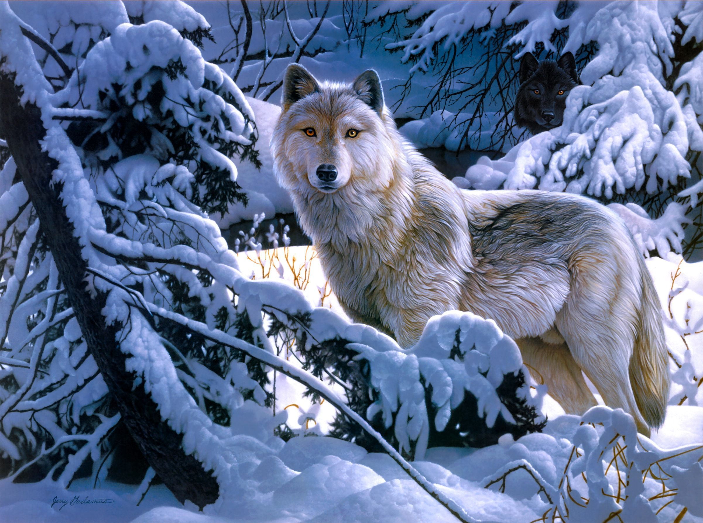 dog, animals In The Wild, cold - Temperature, one Animal, vertebrate, cold temperature, snowing, outdoors, wolf, animal, domestic animals, ice, pets, white color, HD Wallpaper