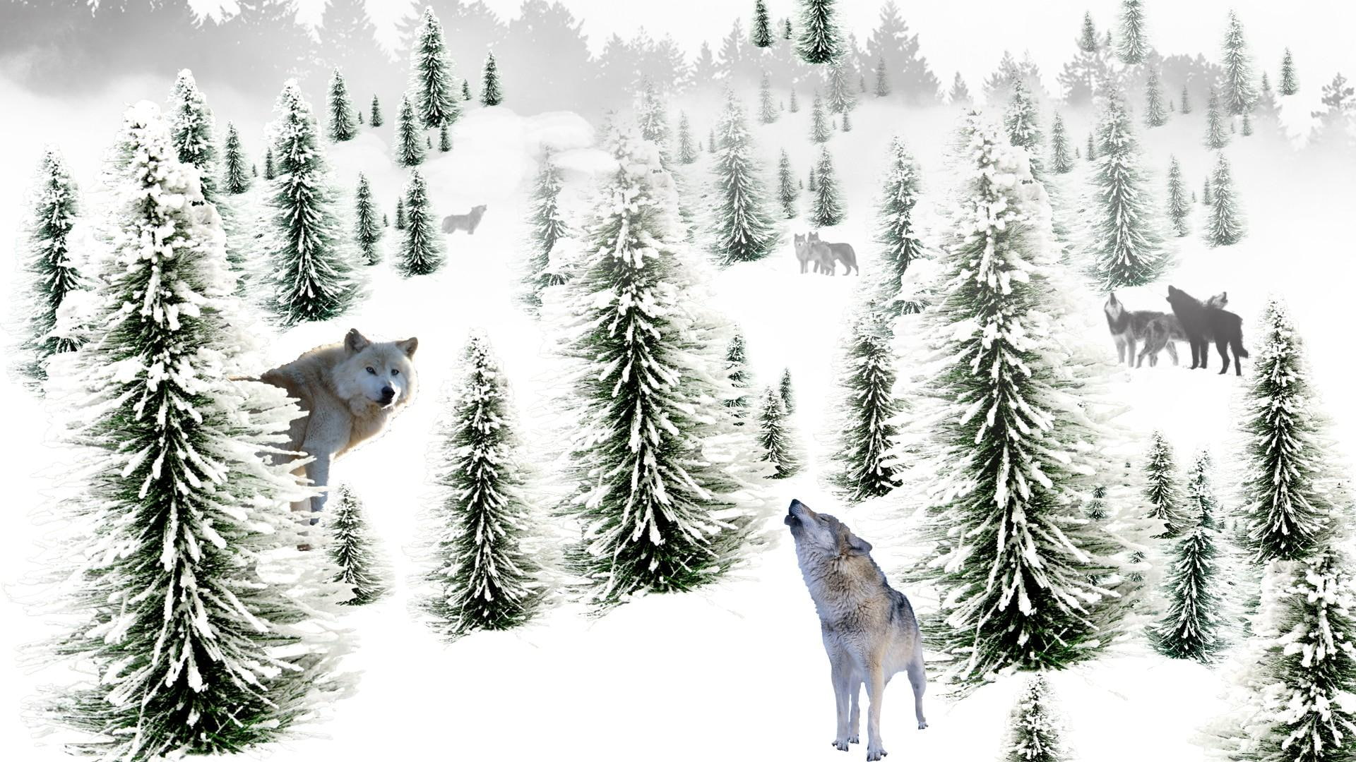wolf, winter, forest, mountains, howling, trees, haunting, firefox persona, winters, 3d and abstra, snow, 1080P, wolves, HD Wallpaper