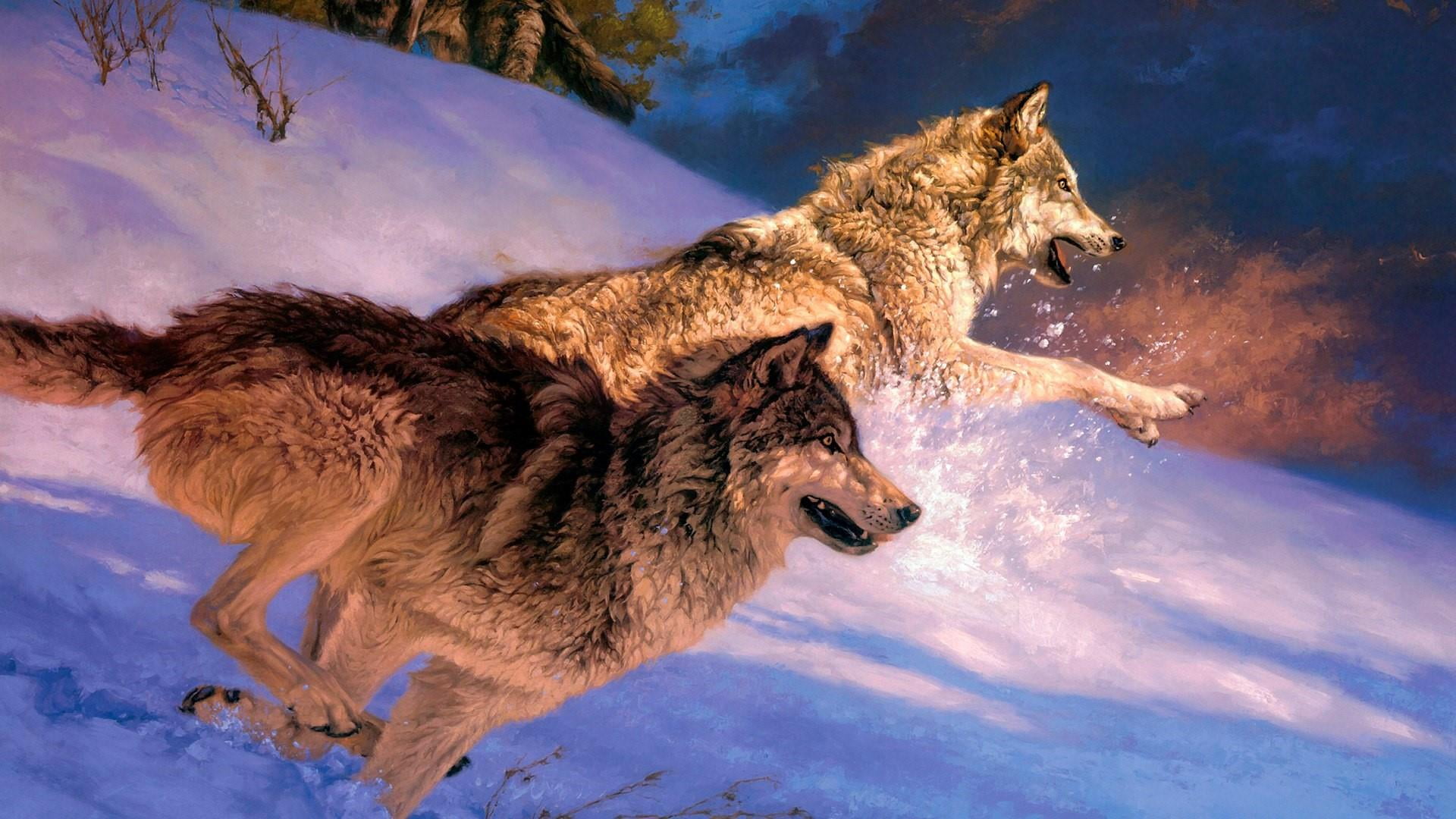 mammal, chase, cold temperature, animal themes, animal, side view, snow, winter, no people, wolves, nature, animal wildlife, two animals, animal family, HD Wallpaper