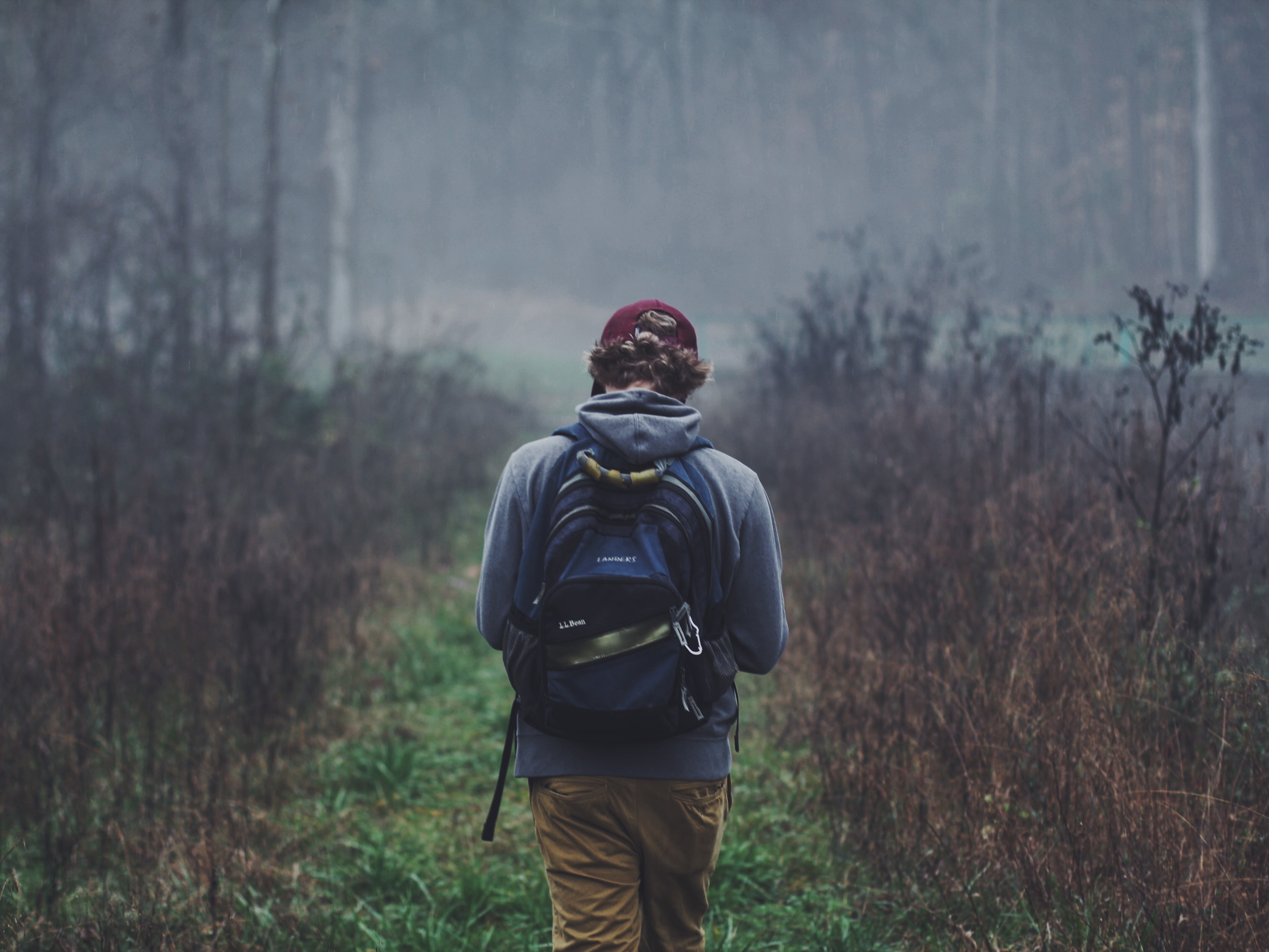 hat, clothing, outdoors, blue, nature, lifestyles, one person, woodland, field, men, black, real people, 4K, land, warm clothing, standing, people, trees, HD Wallpaper