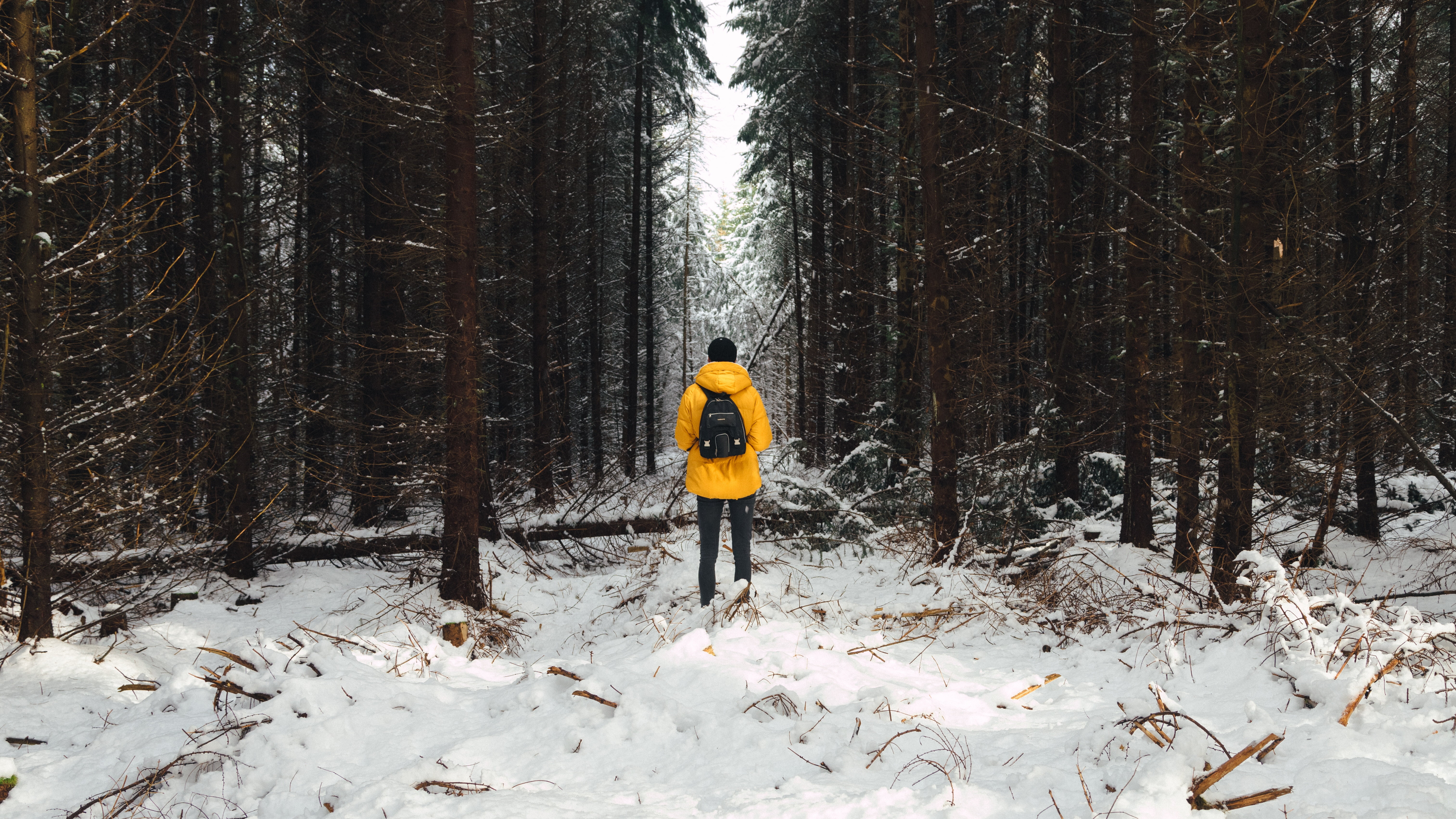people, caucasian Ethnicity, trees, beauty In Nature, real people, season, snow, 5K, action, women, woodland, full length, forest, outdoors, footpath, HD Wallpaper