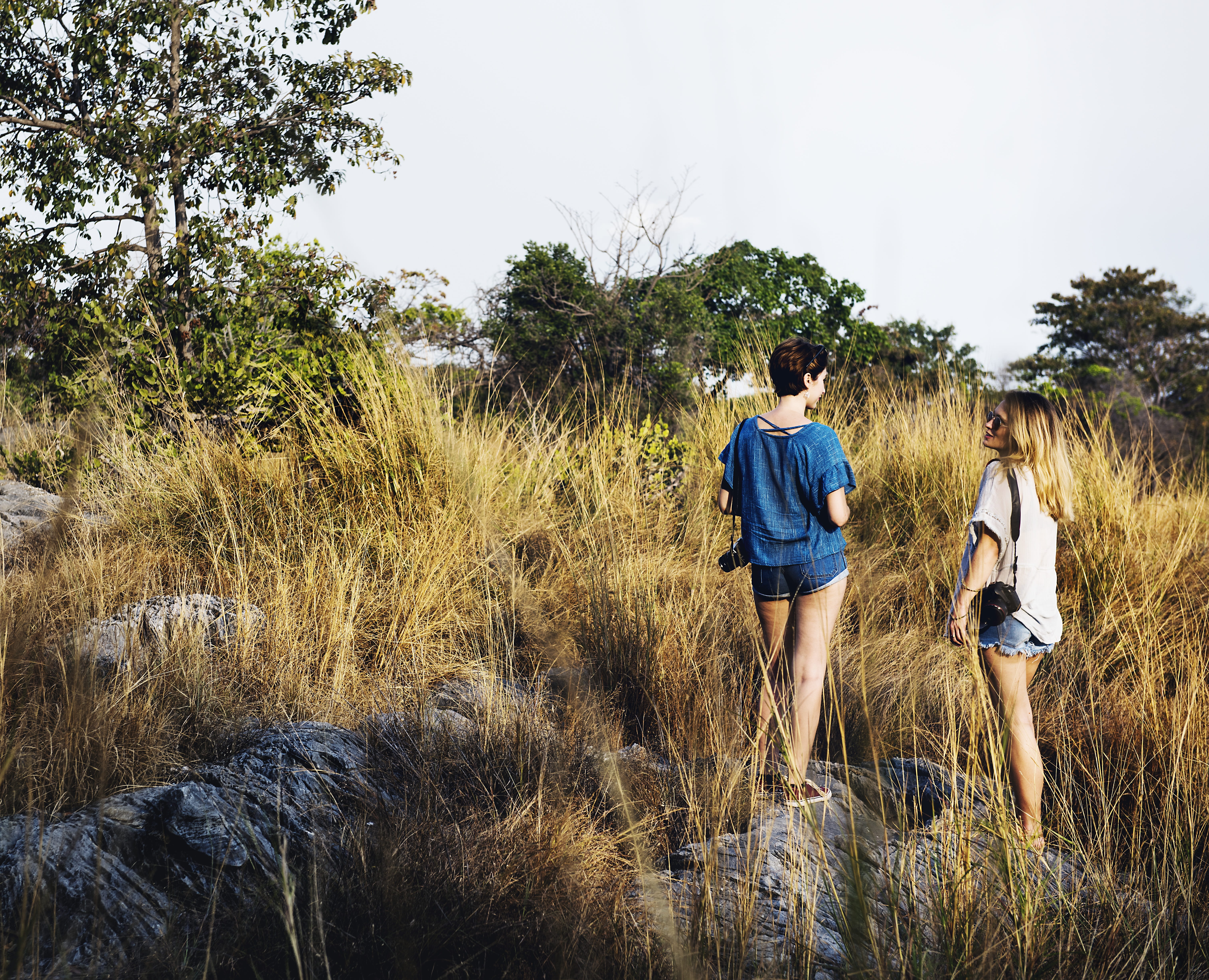 leisure, adult, journey, adventure, hobby, day, land, tree, joyful, backpacker, together, 5K, friends, active, enjoy, field, young adult, real people, HD Wallpaper